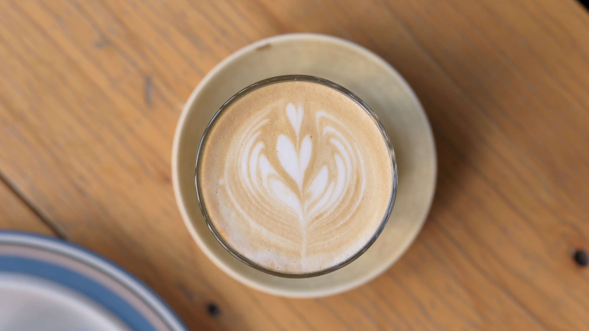 ABOUT LIFE COFFEE BREWERS