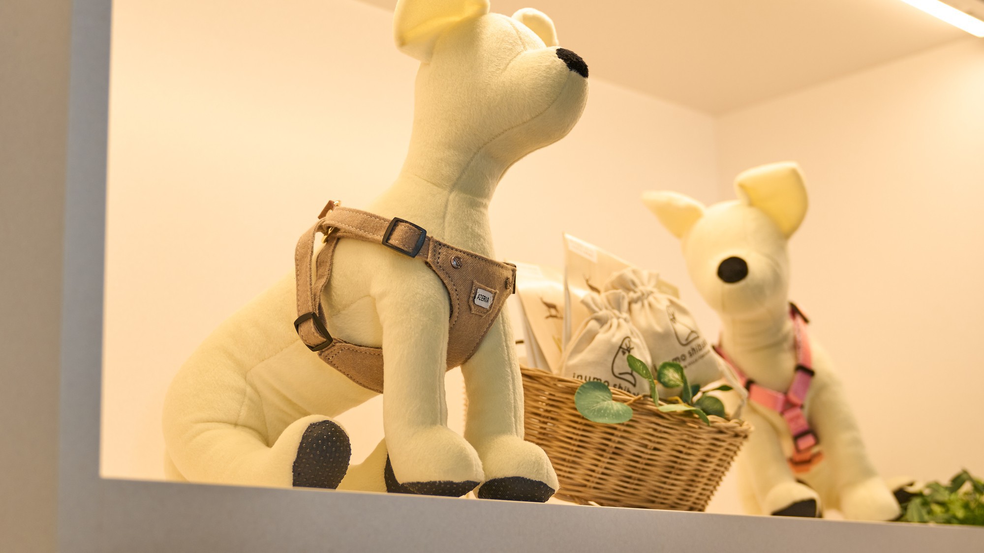 楽天ポイント10倍！【素泊り】ワンちゃんと楽しむホテルステイ※一部わんちゃんサービスは含まれません