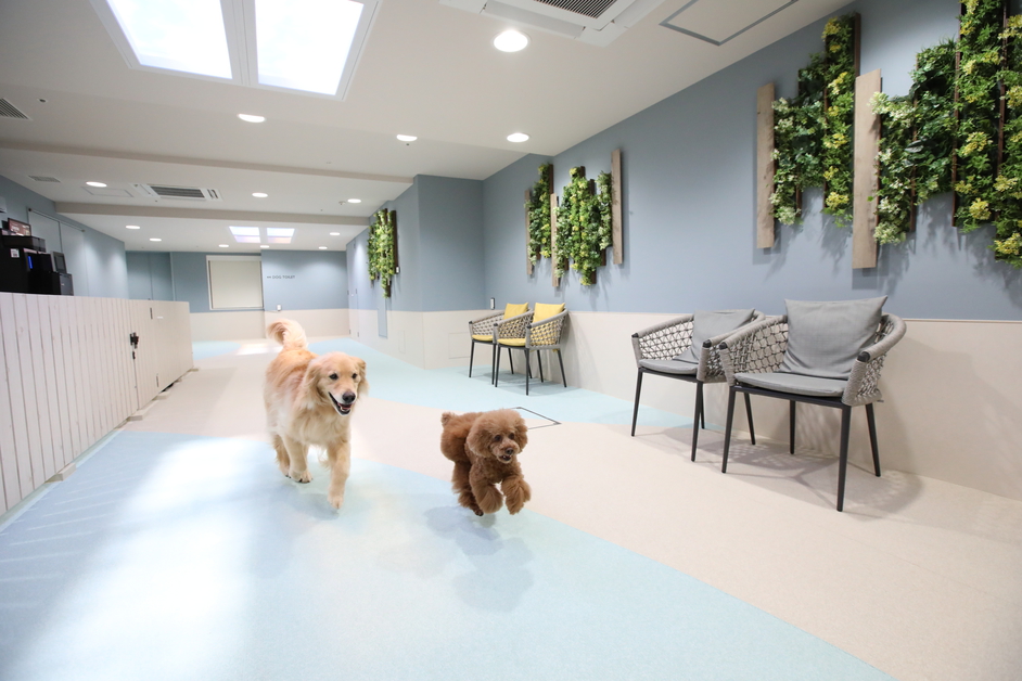 【連泊◆素泊り】2泊以上のご滞在でお得に！※一部わんちゃんサービスは含まれておりません