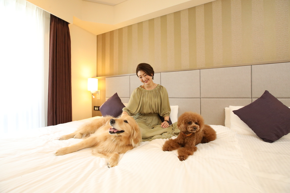 【Anniversary】わんちゃんと一緒に特別なホテルステイを あまざけ＆シャンパン付き 2食付き