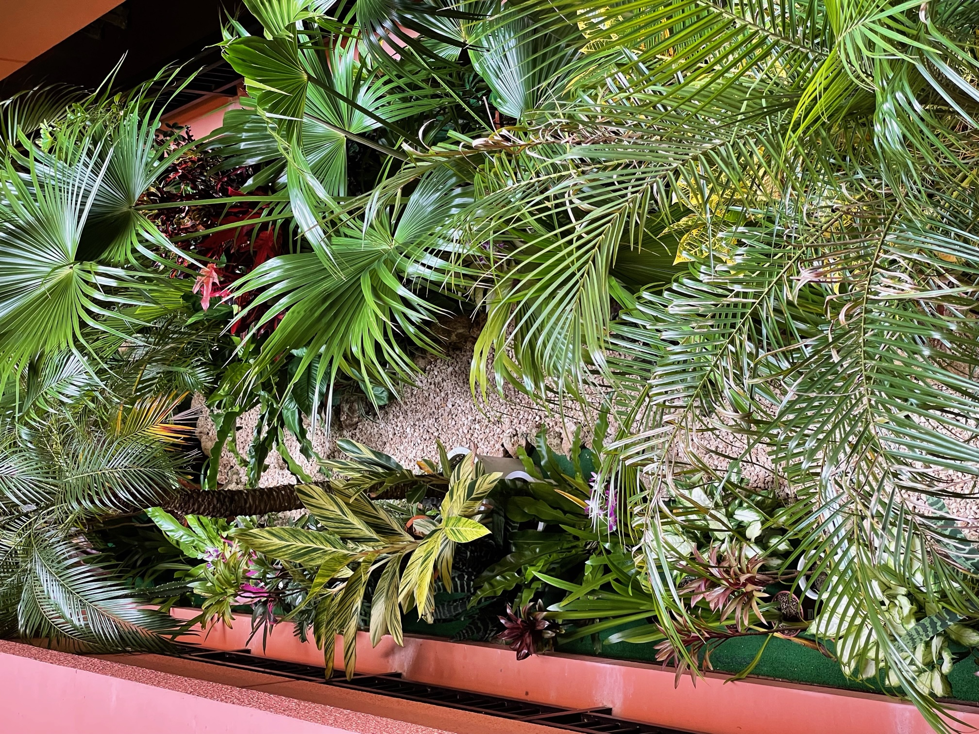 ミニ植物園