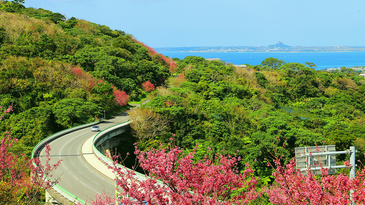 【WEB割】2022年瀬底島にプライベートコテージが新規オープン＜素泊まり＞