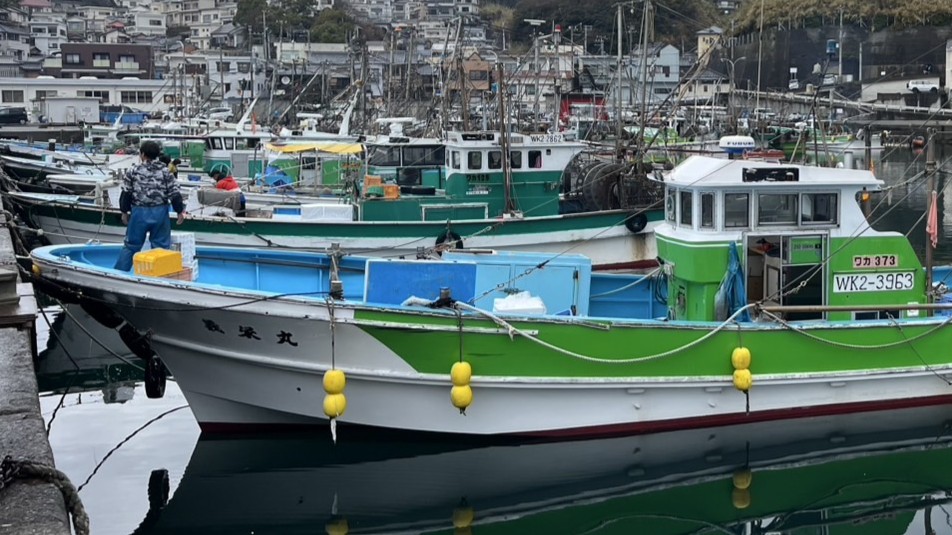 雑賀崎漁港に並ぶ漁船。新鮮な海の幸は、ここからやってきます。