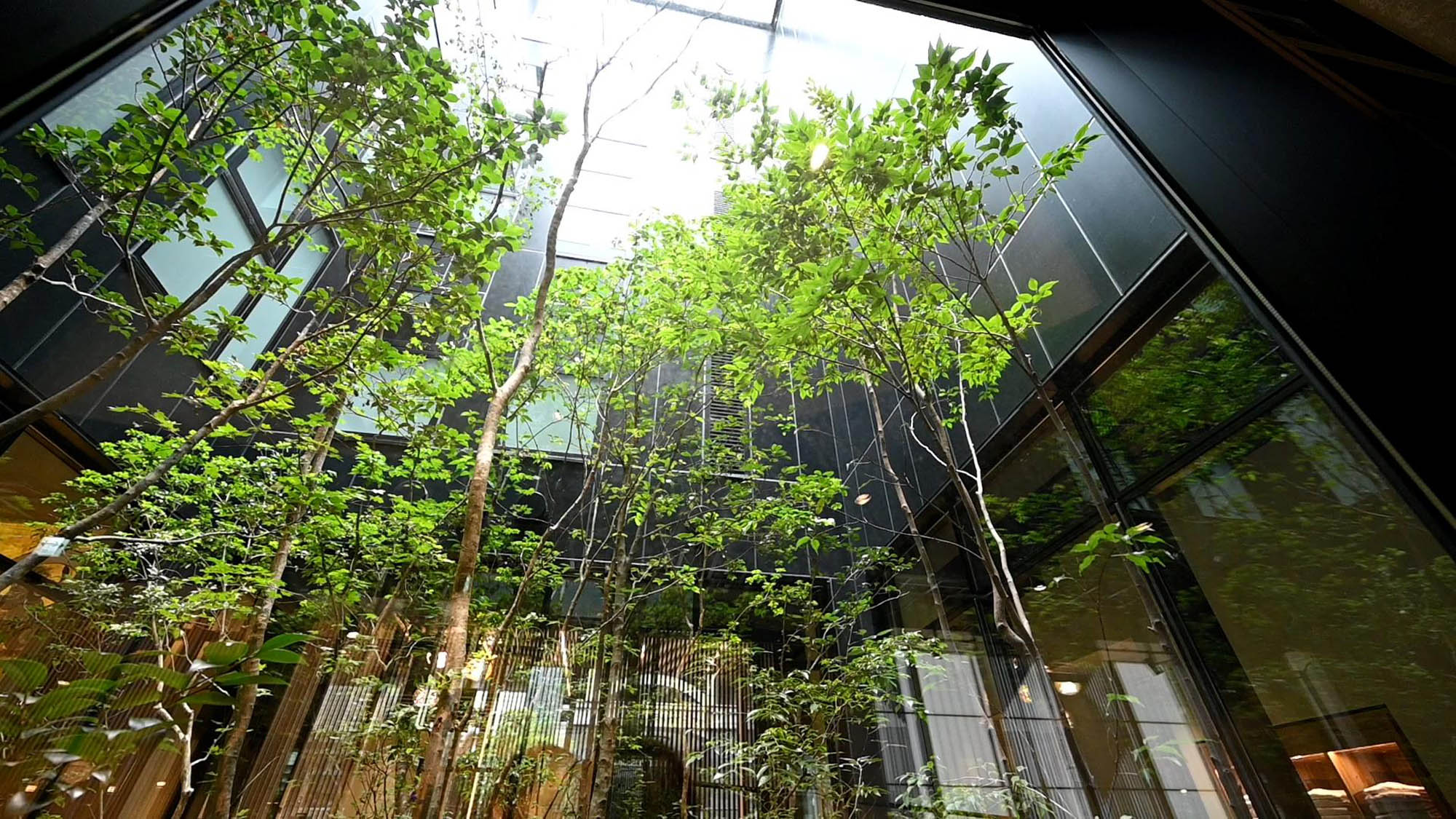 「山中の原風景」を再現した中庭