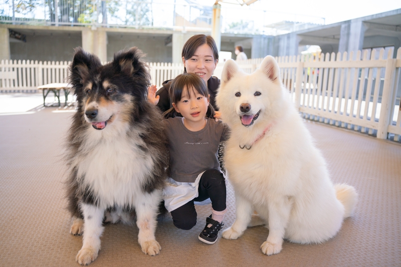 【楽天限定】お子様と遊びつくすテーマパーク！那須どうぶつ王国「入園券」付ファミリープラン♪