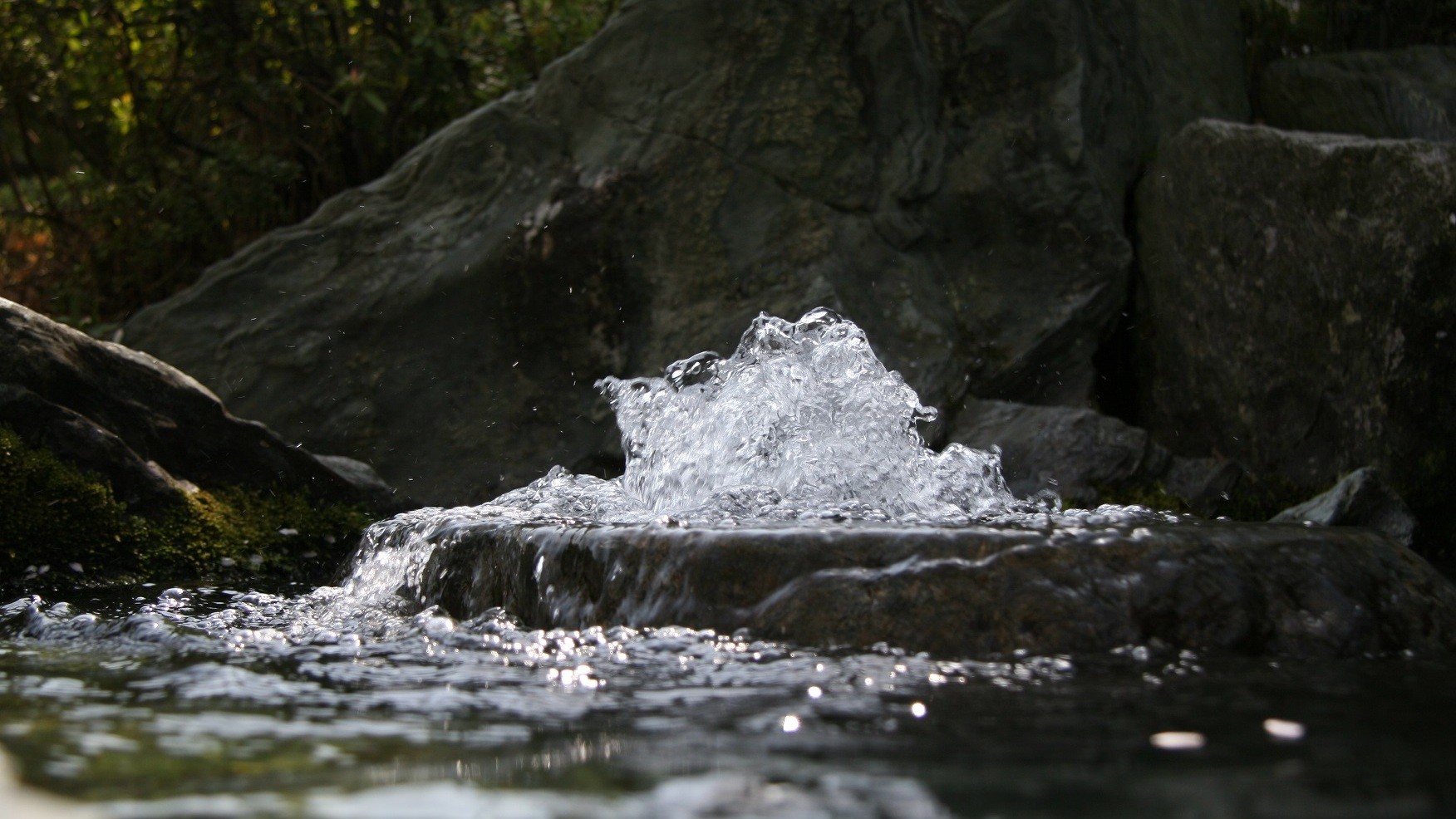 西条の名水「うちぬき」