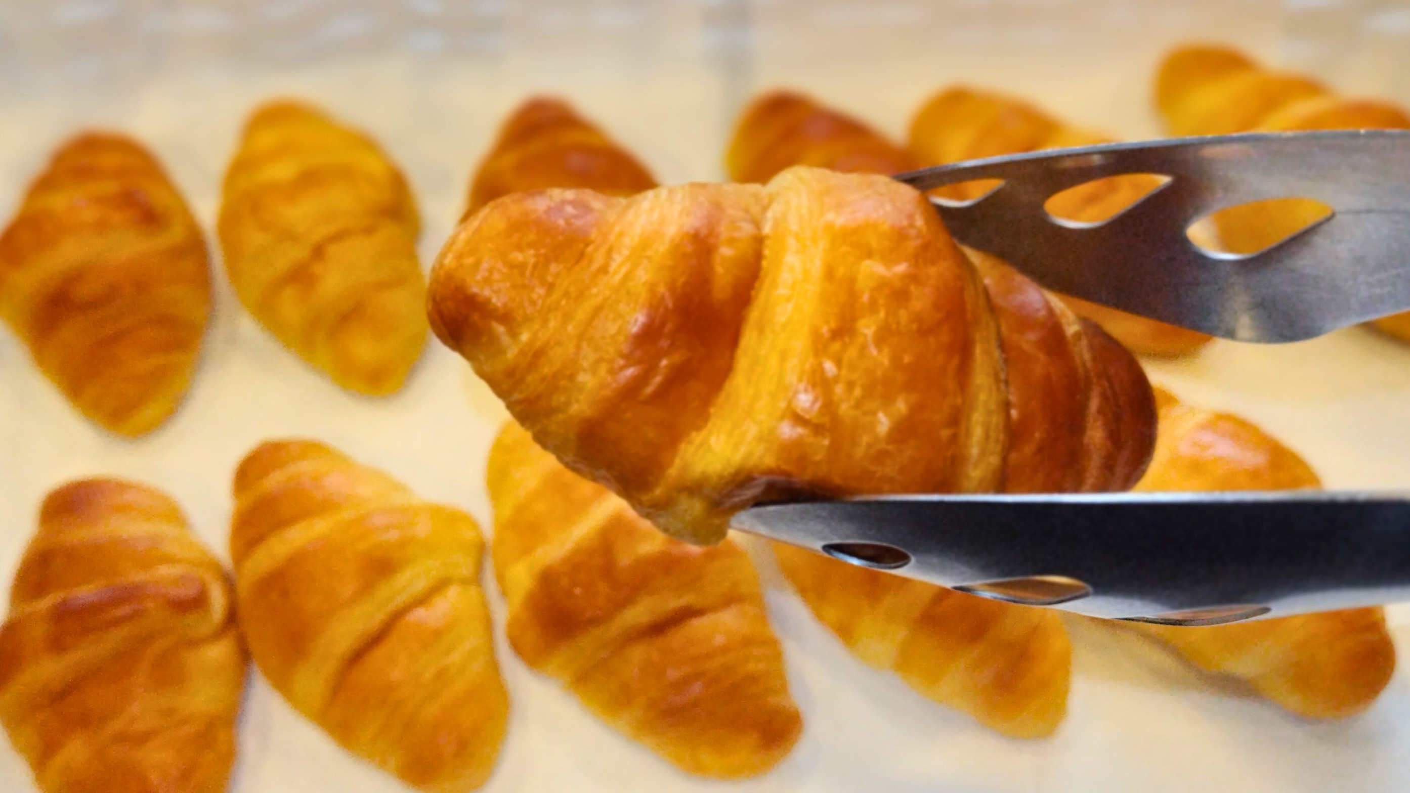 ◆ワンプレート朝食一例＜おかわりパン＞