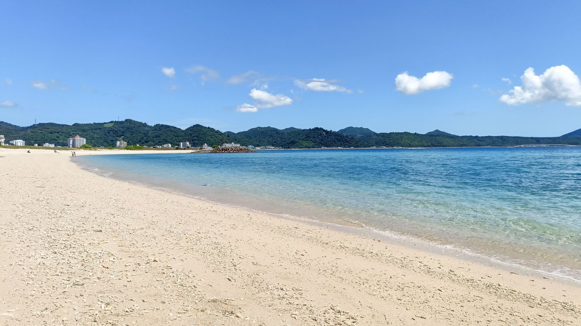 【THE除外日なし！2泊以上】洗乾キッチン無料P！バスタ徒歩2分！☆スペシャルプライスでウェルカム☆
