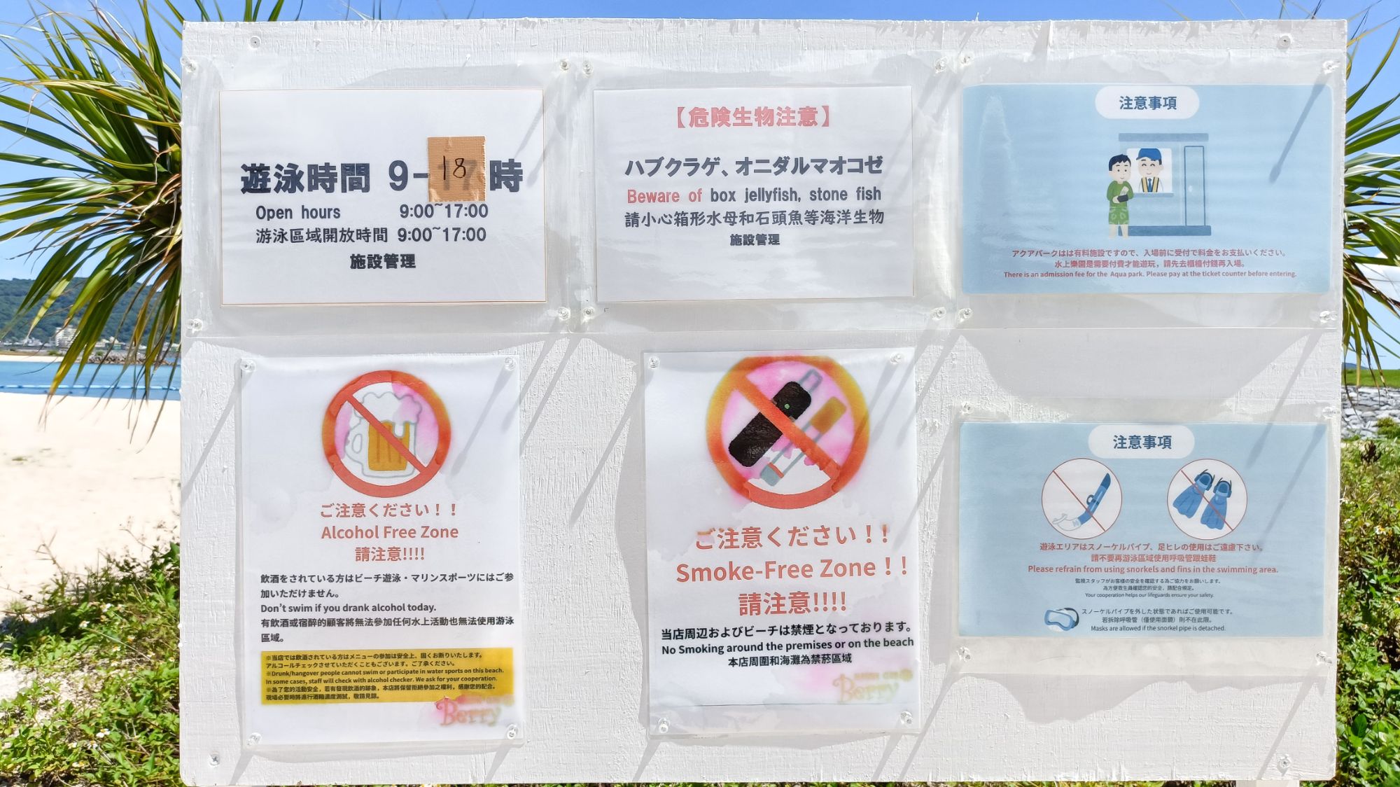 【近隣情報】21世紀の森ビーチ　当館から徒歩約16分