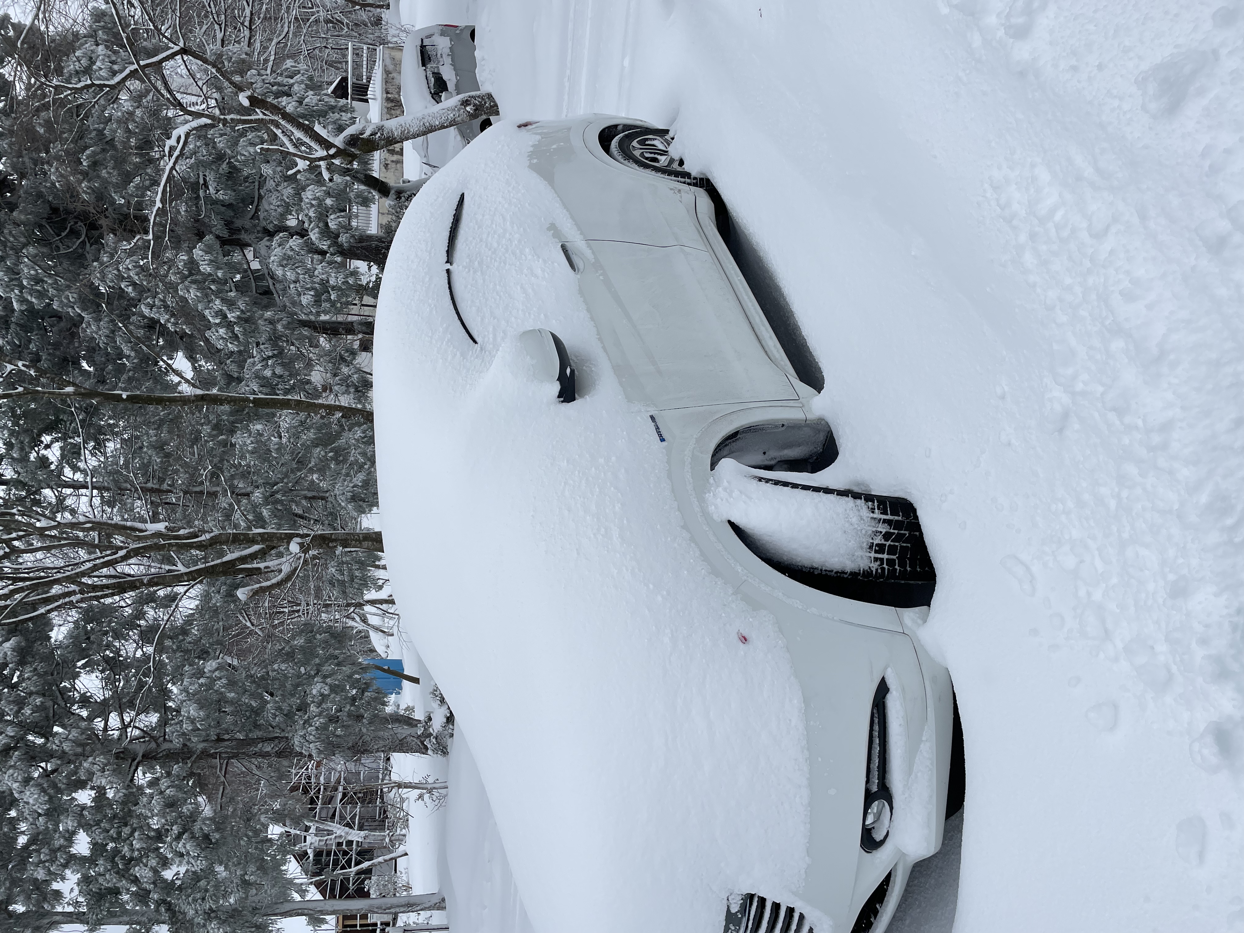 大山の冬、施設駐車場内の雪風景、