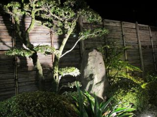 夜の庭　