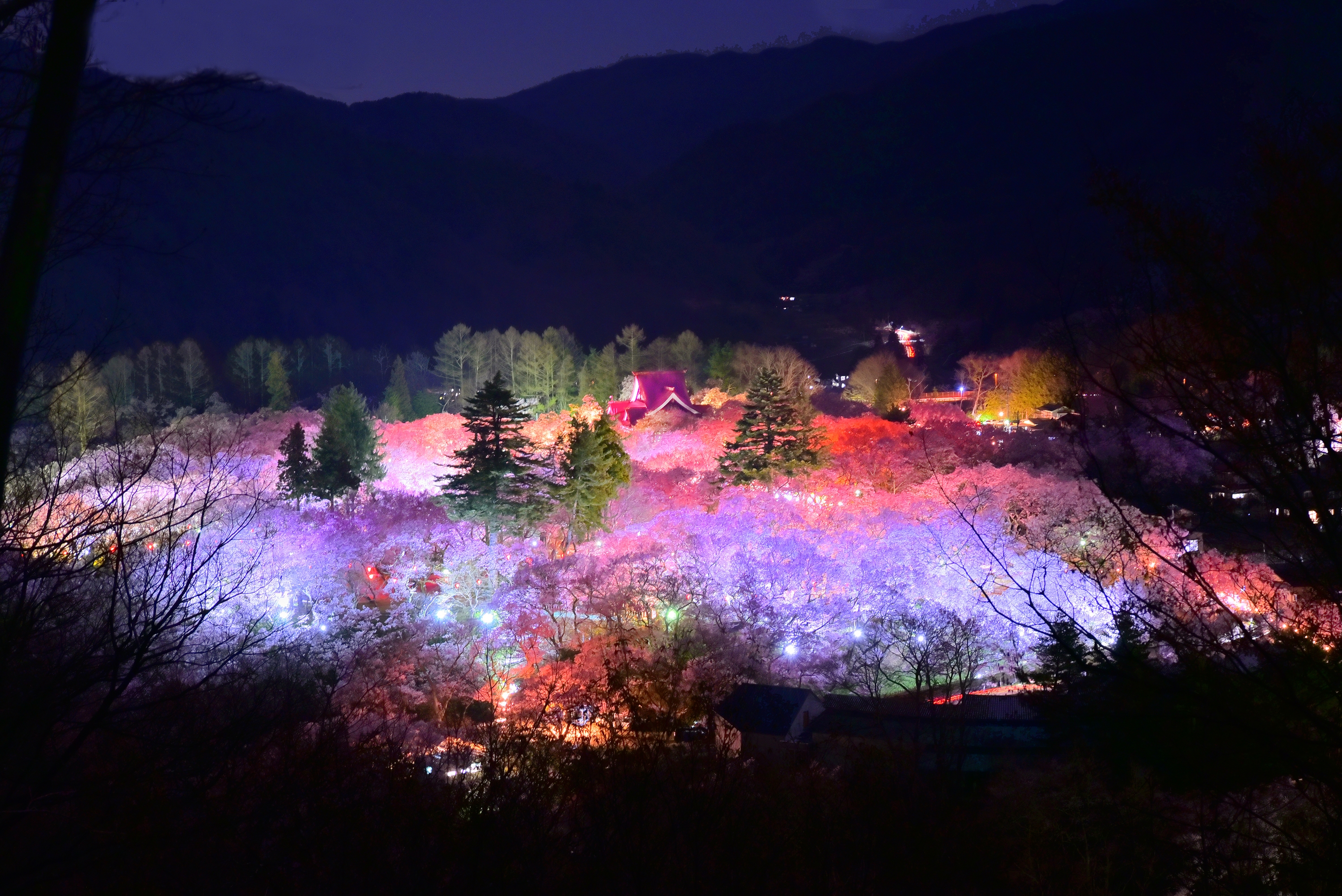 高遠城址公園