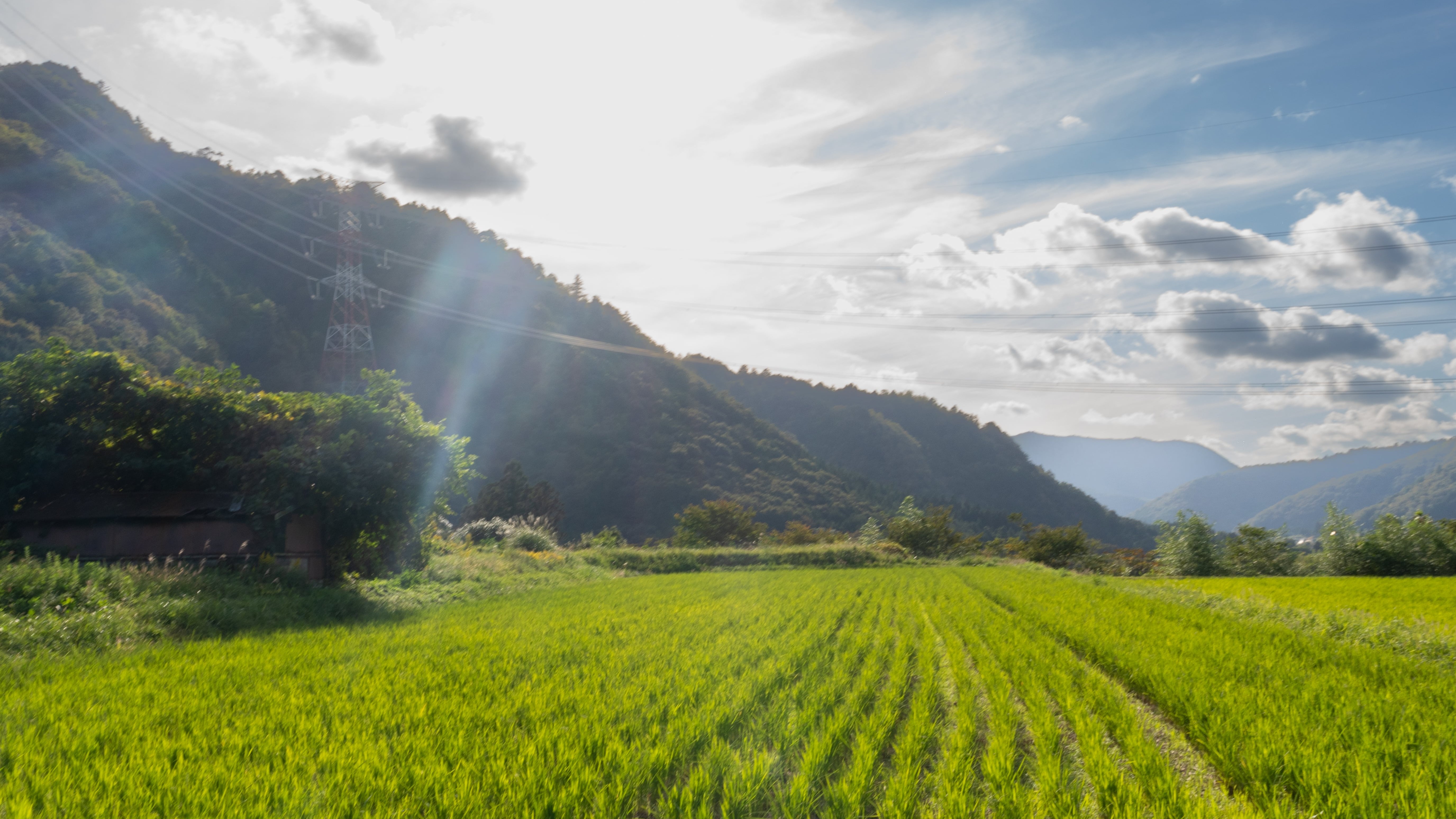旬季庵すぐそばの風景