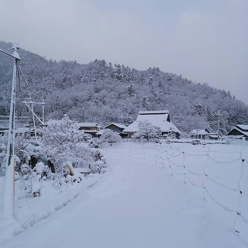 冬の風景