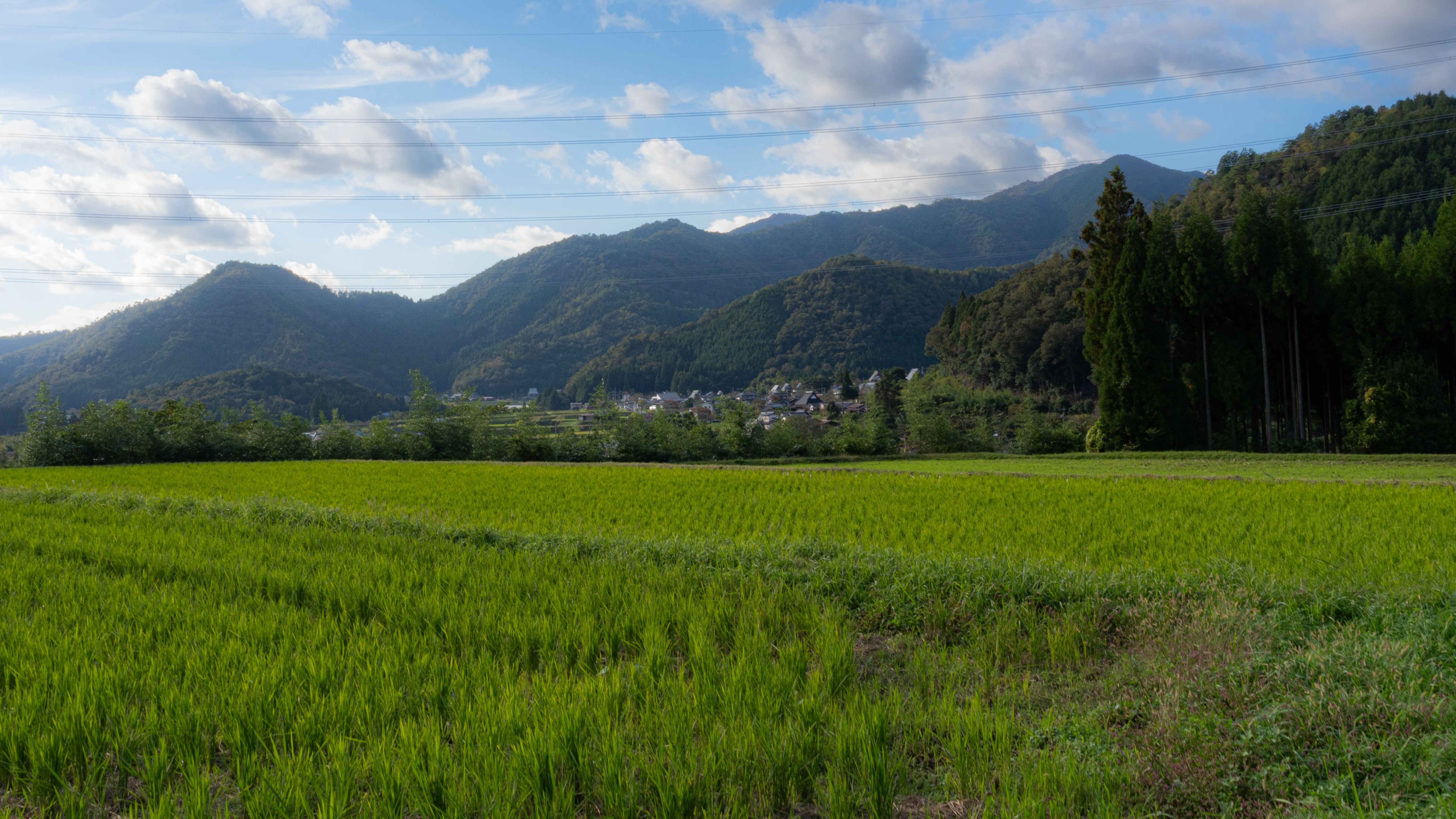 旬季庵すぐそばの風景