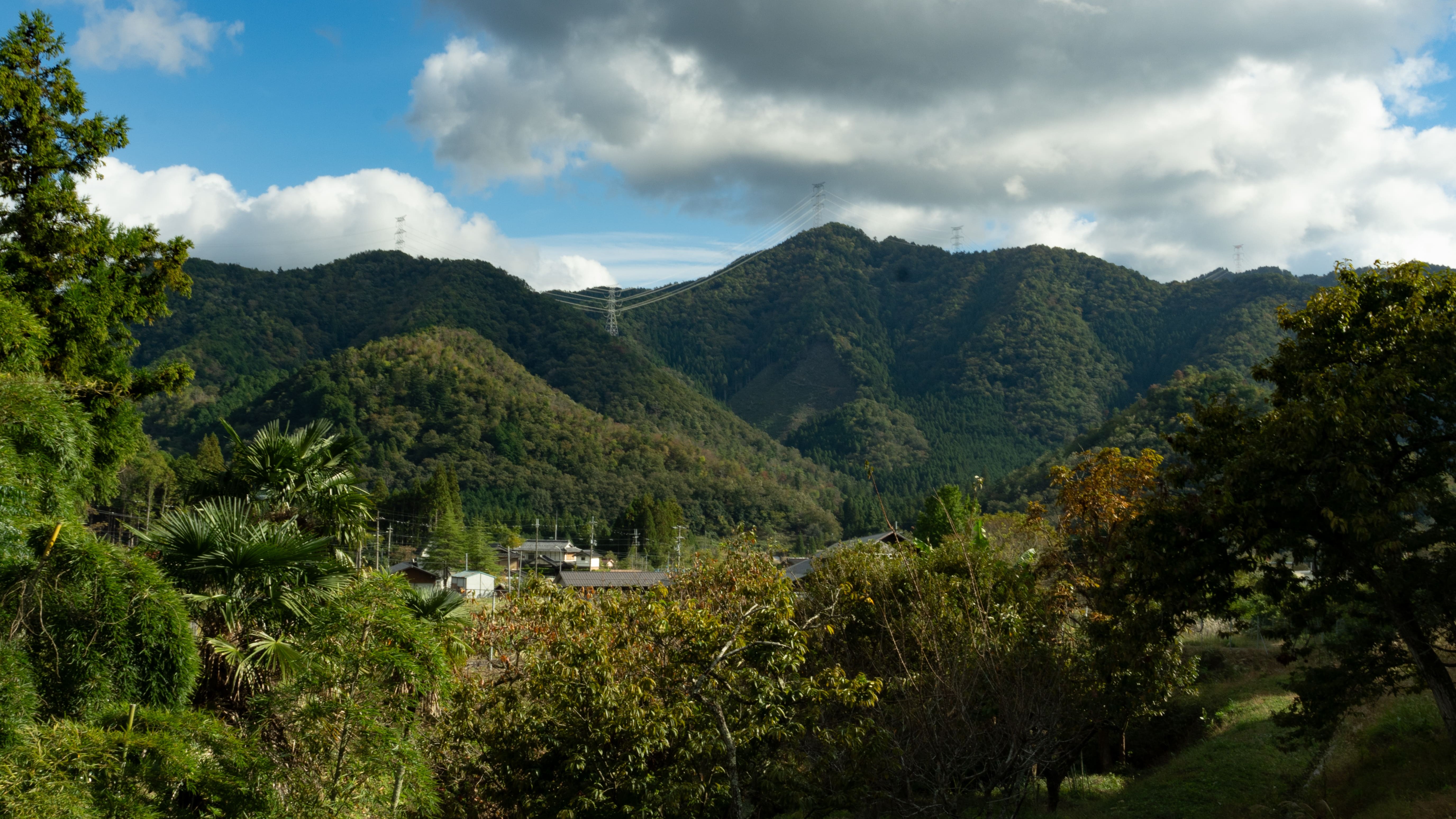 旬季庵すぐそばの風景