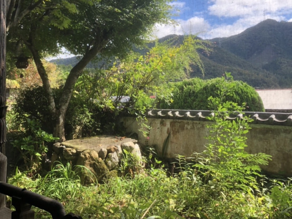 離れから見える景色