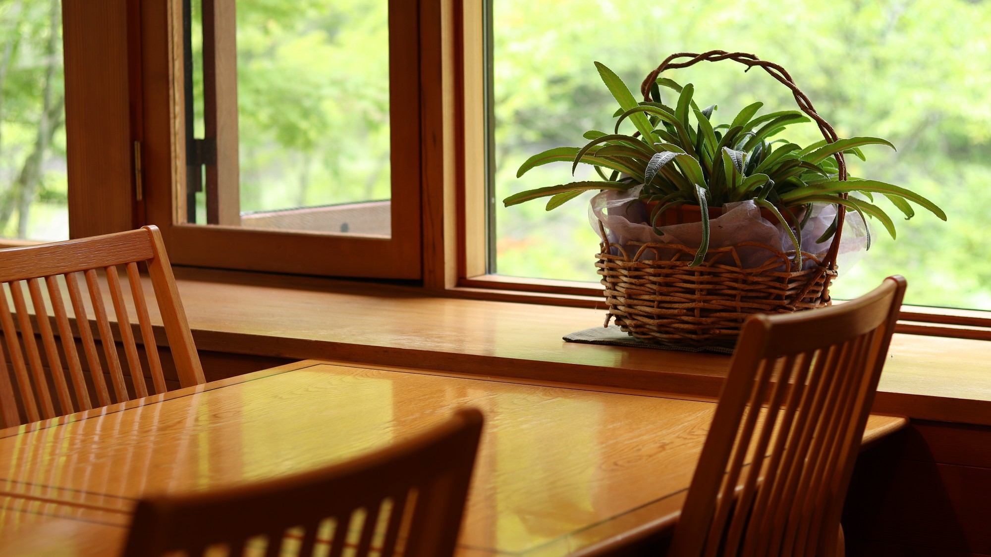 秘湯《葛温泉》で過ごす寛ぎの【一人旅】一泊二食