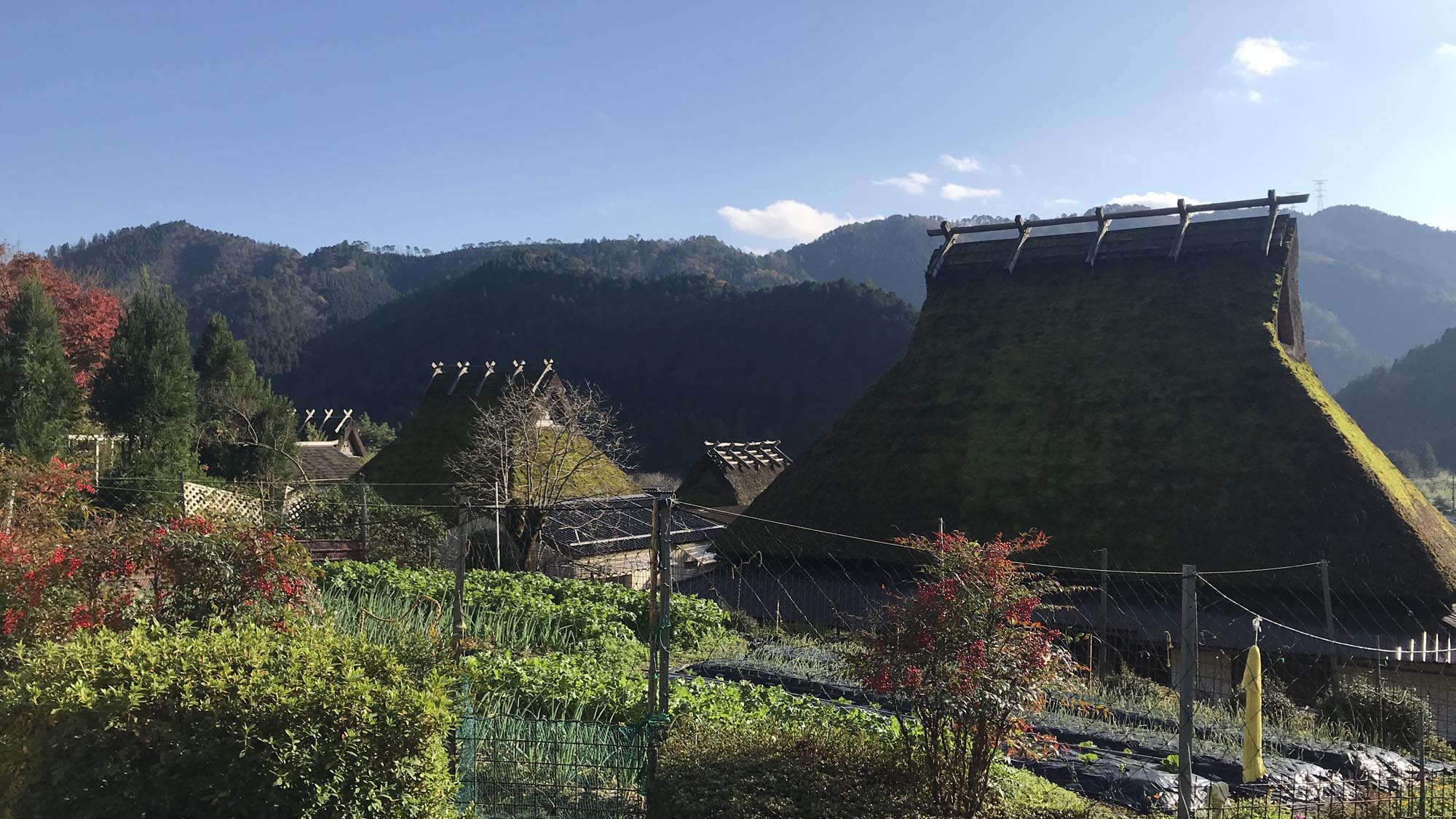 本館、別館から車で15分の「かやぶきの里」