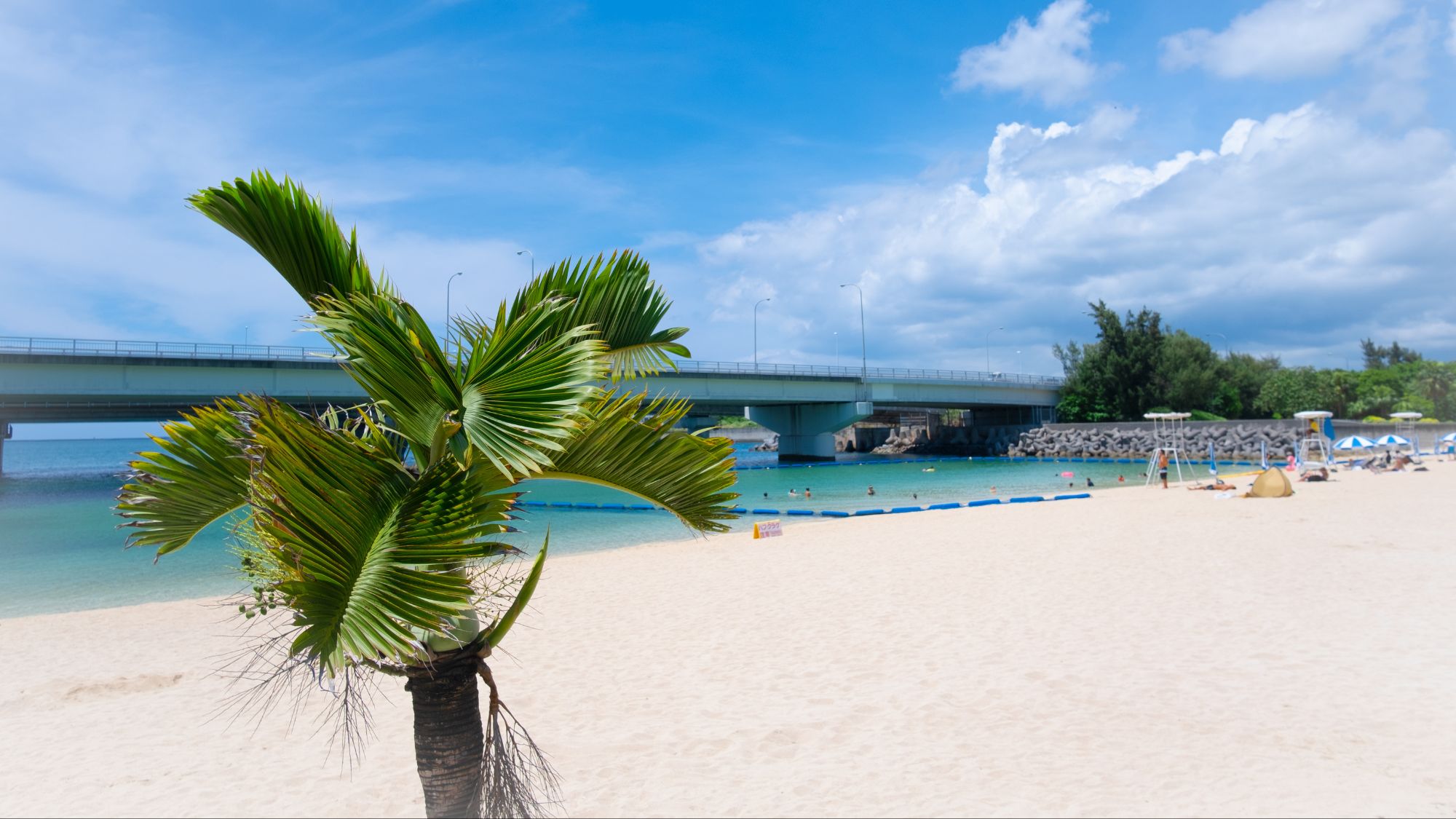 【波の上ビーチ】当館から徒歩約15分/車で約5分