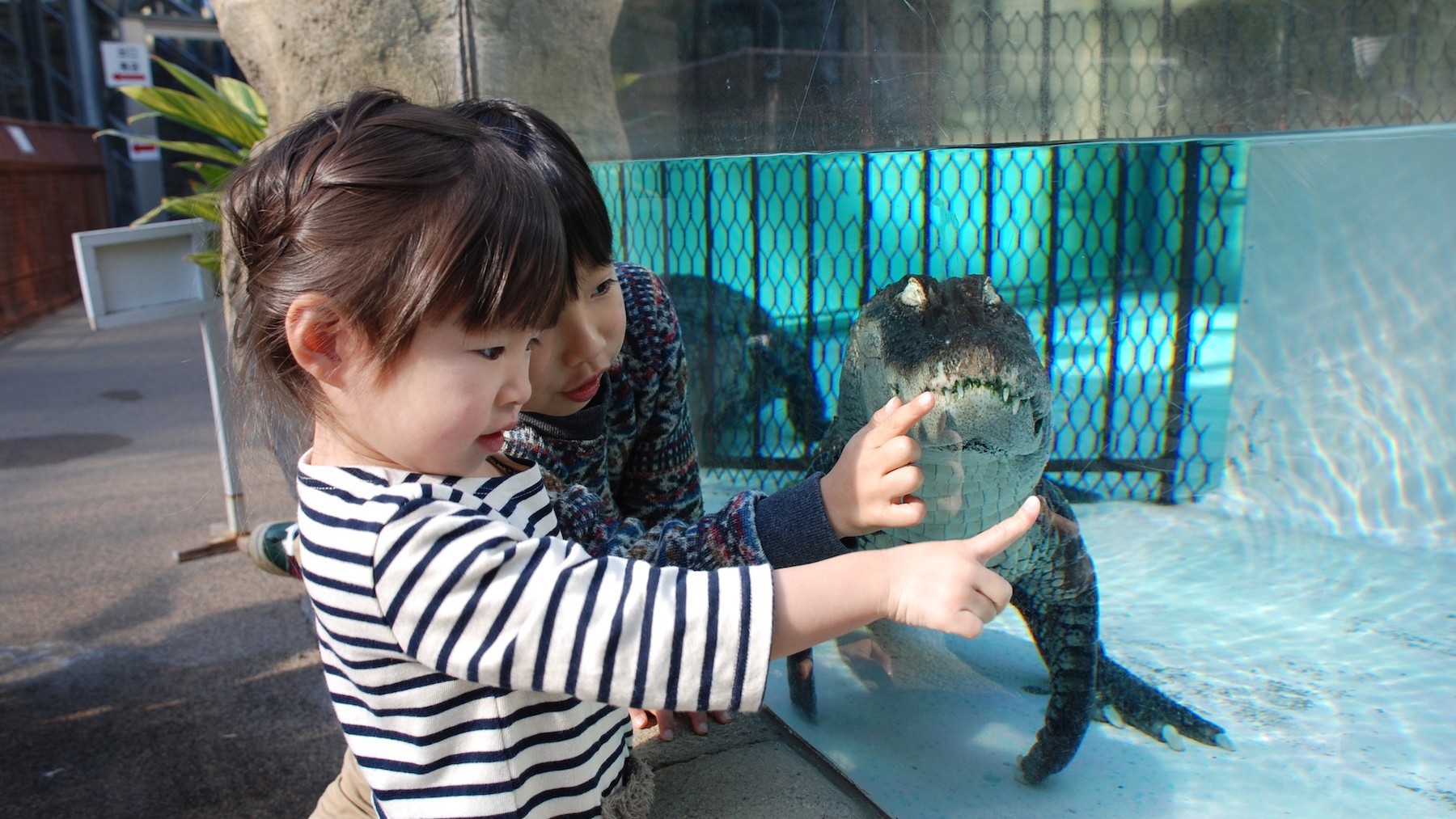 「熱川バナナワニ園」入園券付きプラン♪【1泊2食付「約70種海鮮和洋ビュッフェ」】