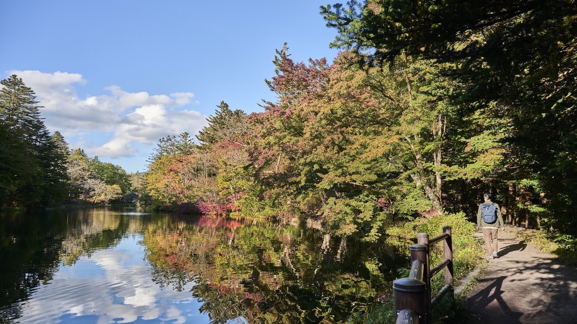 【3連泊以上限定】室料最大30％OFF 自然と芸術に触れる軽井沢ステイ 〜朝食付き〜