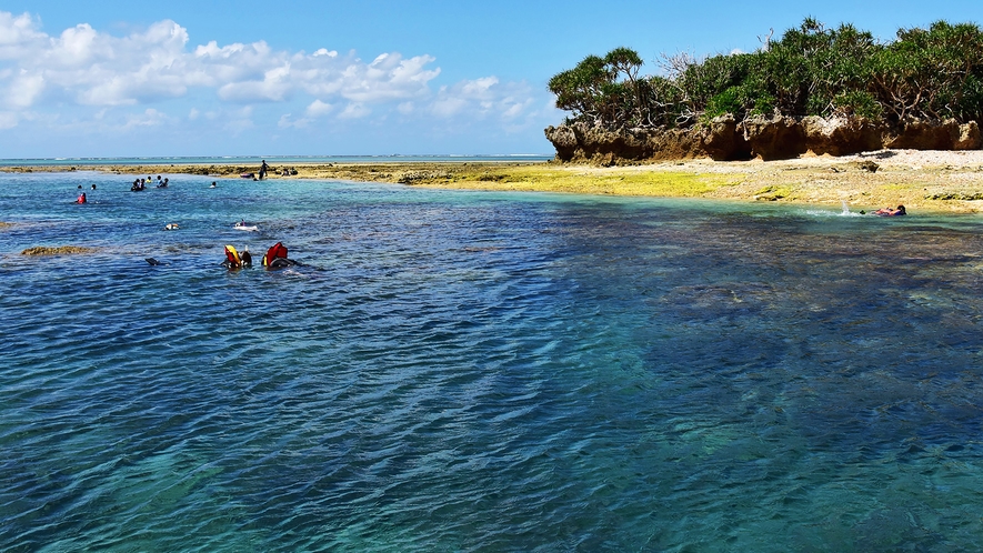【備瀬崎ビーチ】沖縄本部の絶景ビーチ☆水の透明度は抜群です＜車で約9分＞