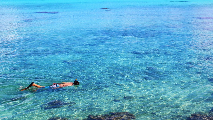【備瀬崎ビーチ】沖縄でも数少ないシュノーケリングが出来るビーチ＜車で約9分＞