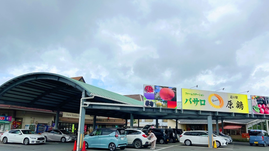 ＊道の駅原鶴バサロ＊車で約２５分