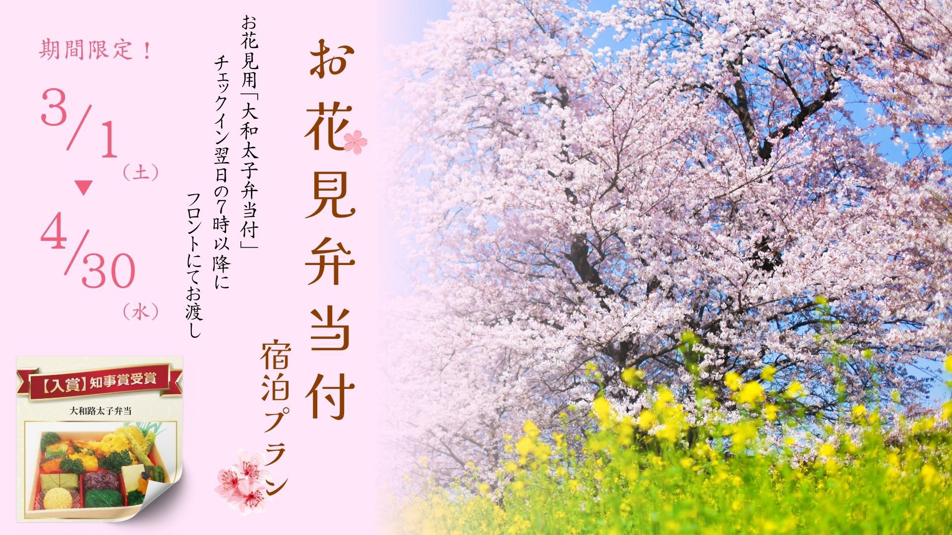 【お花見弁当付】奈良の桜をたっぷり堪能！お花見プラン【朝食付】
