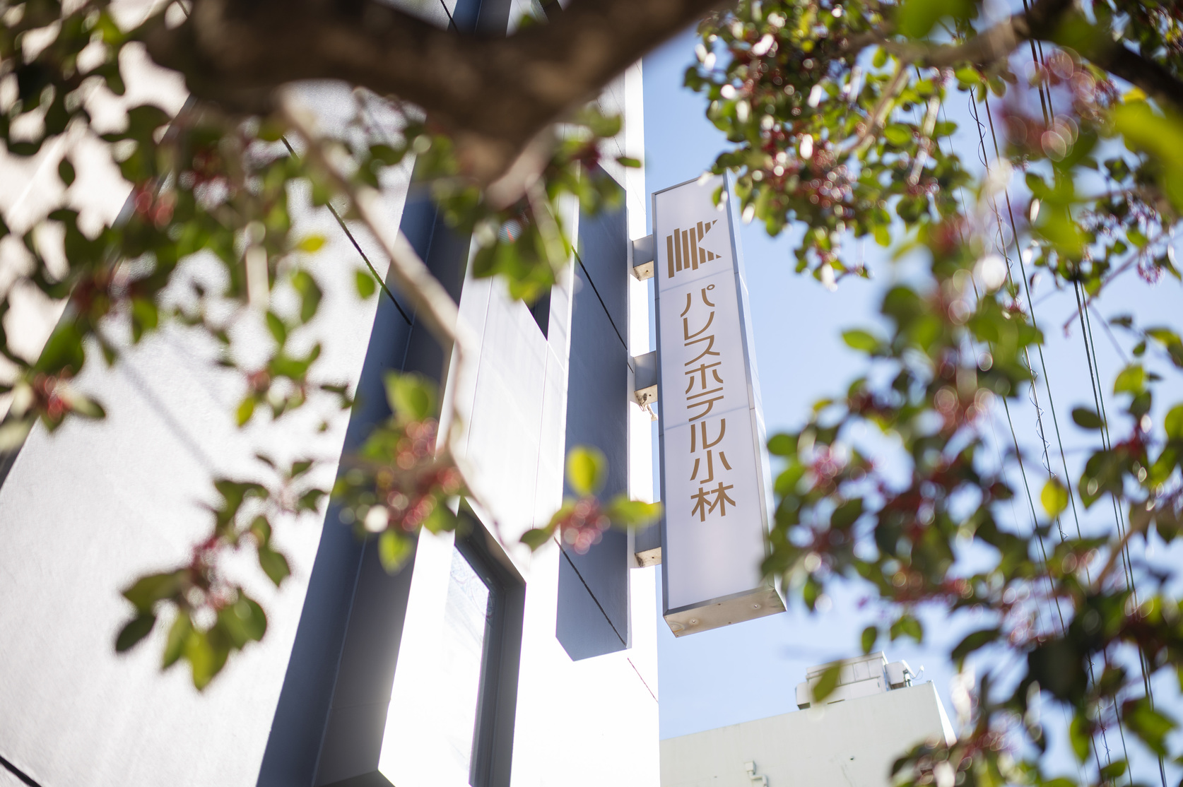 スタンダードプラン【通常プラン】