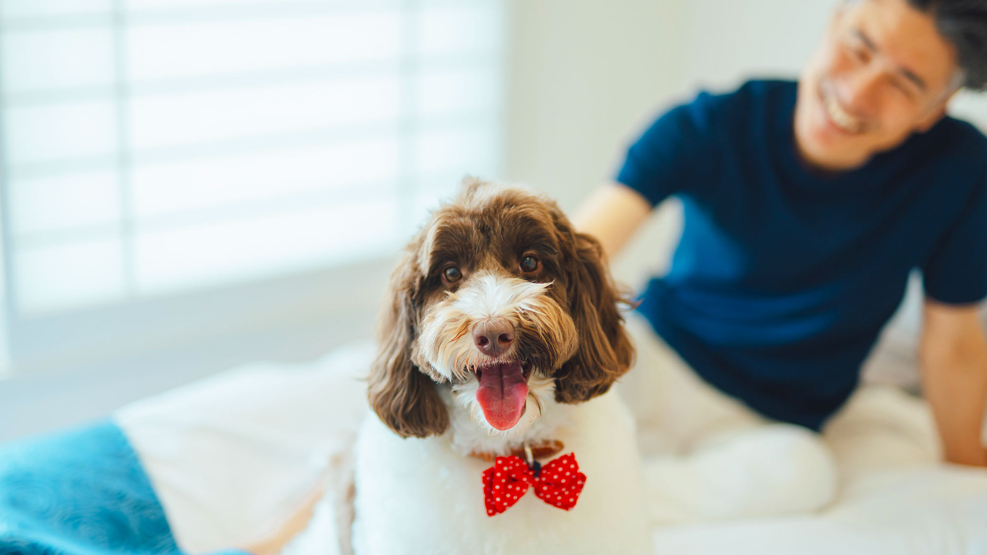 【犬猫ライフコラボプラン】7/26＆27限定！20％OFF＆ペット撮影会あり♪＜スタンダード料理＞