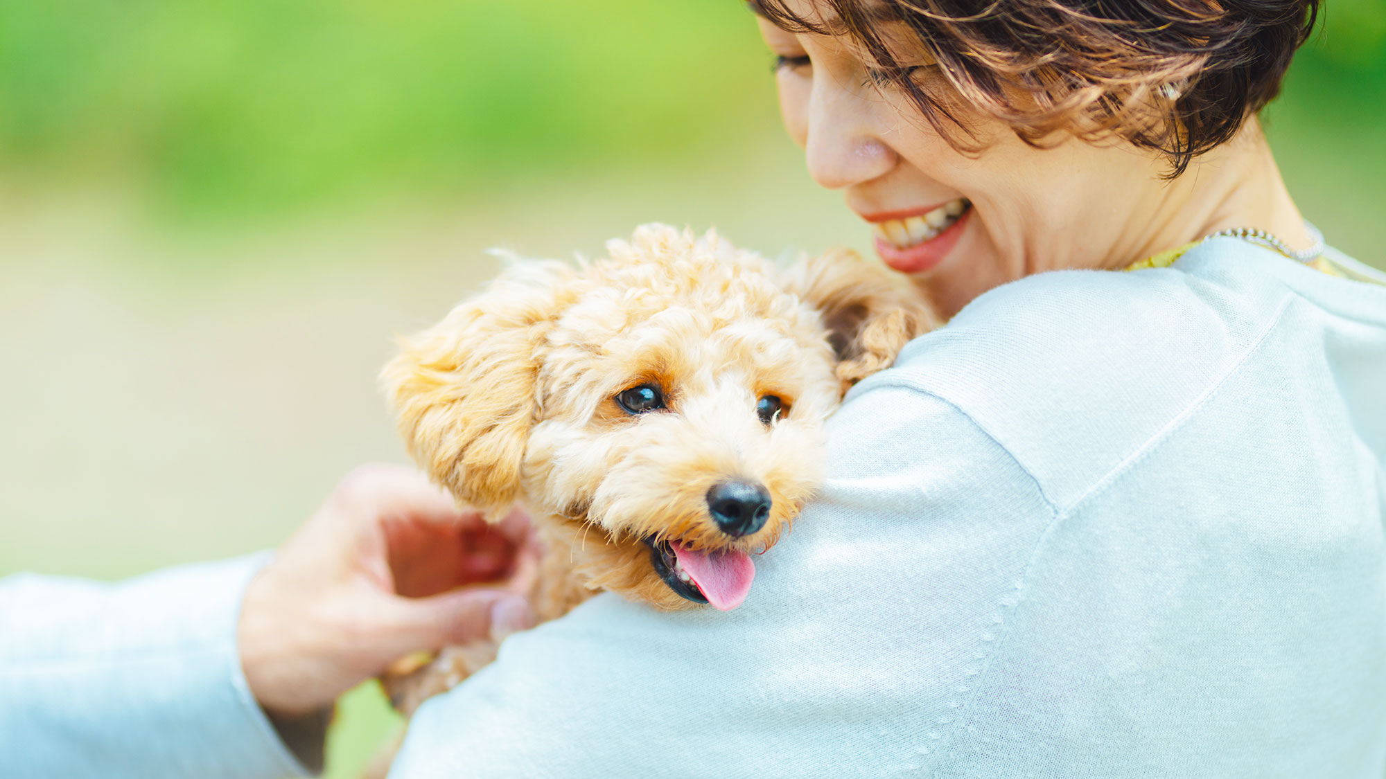 【ドッグラン】愛犬と一緒にゆっくり流れる島時間をお過ごしください。