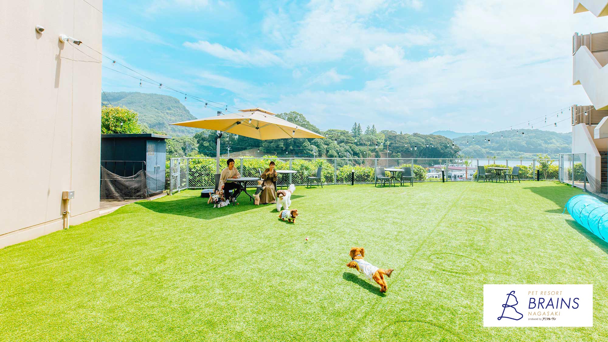 【中庭ドッグラン】心地よい潮風を感じながらペットと一緒にたっぷり遊べます！