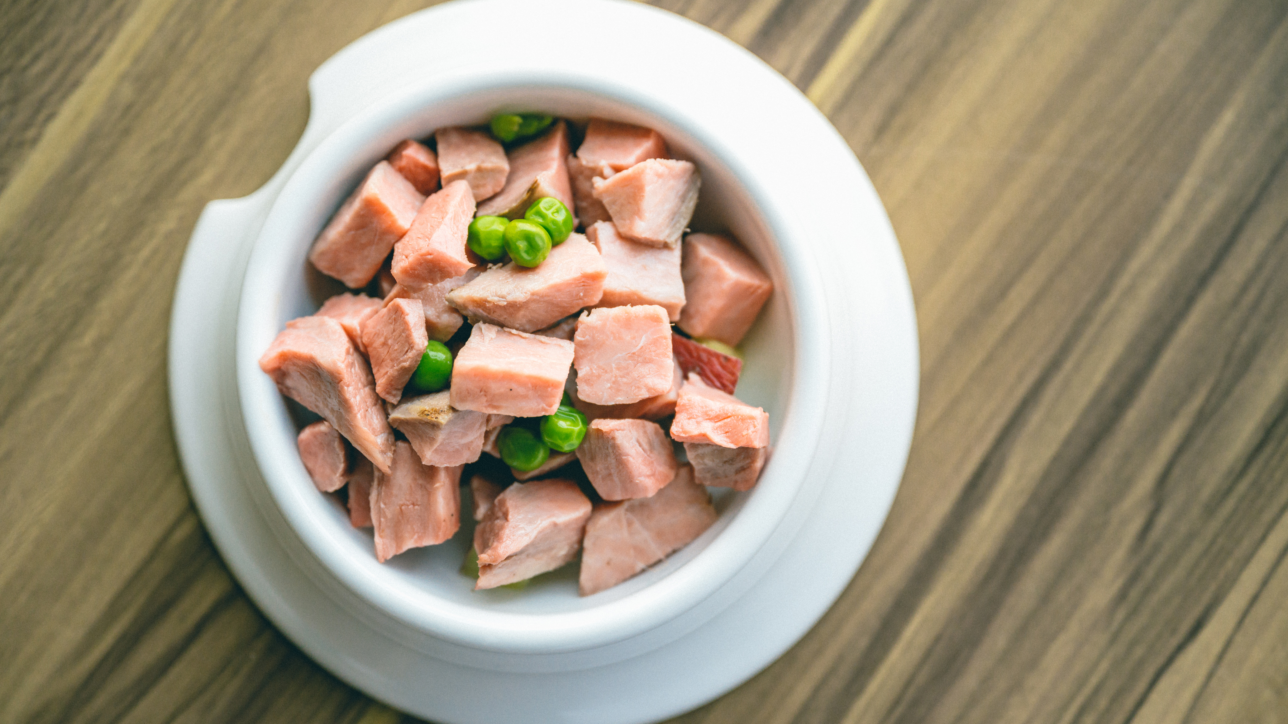 【ペット用のゴハン】シェフ手作りの安心ご飯をご用意しております。