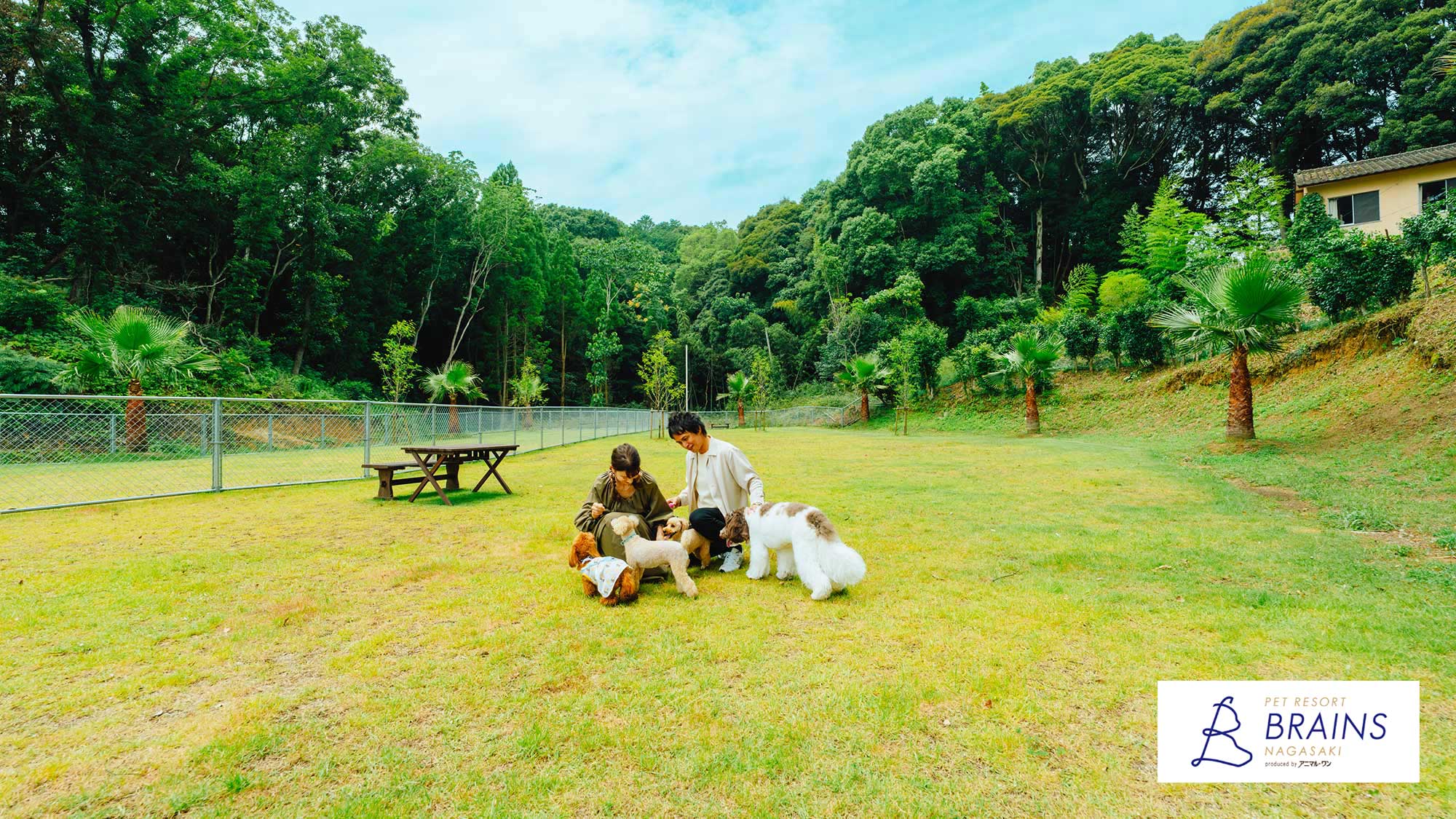 【ドッグラン】大型犬用と中型犬・小型犬用で分かれているので、安心して遊べます。