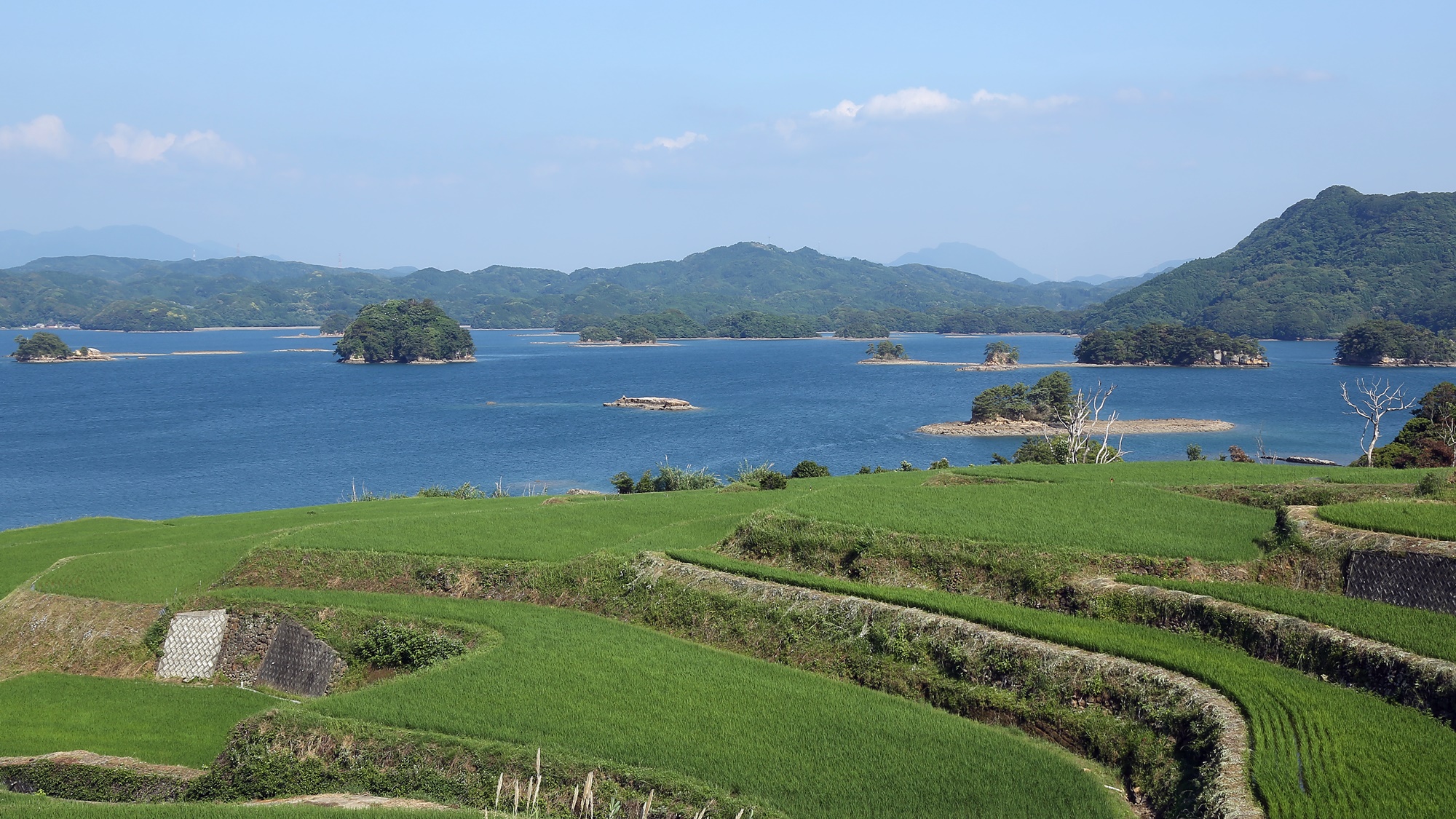 大山展望台から眺めるいろは島の景色。