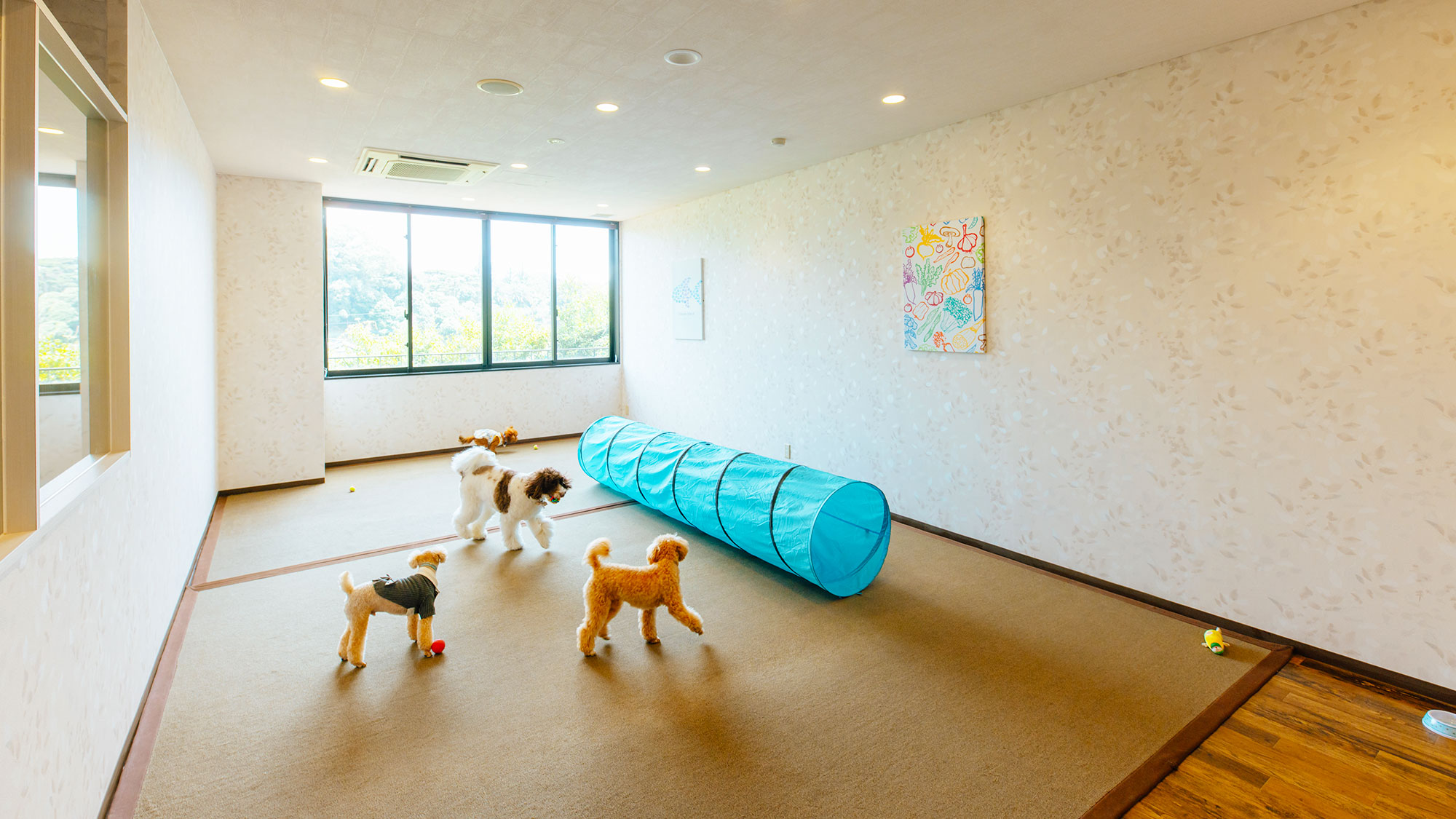 【室内ドッグルーム】雨天時は室内でワンちゃんと遊んでいただけます。