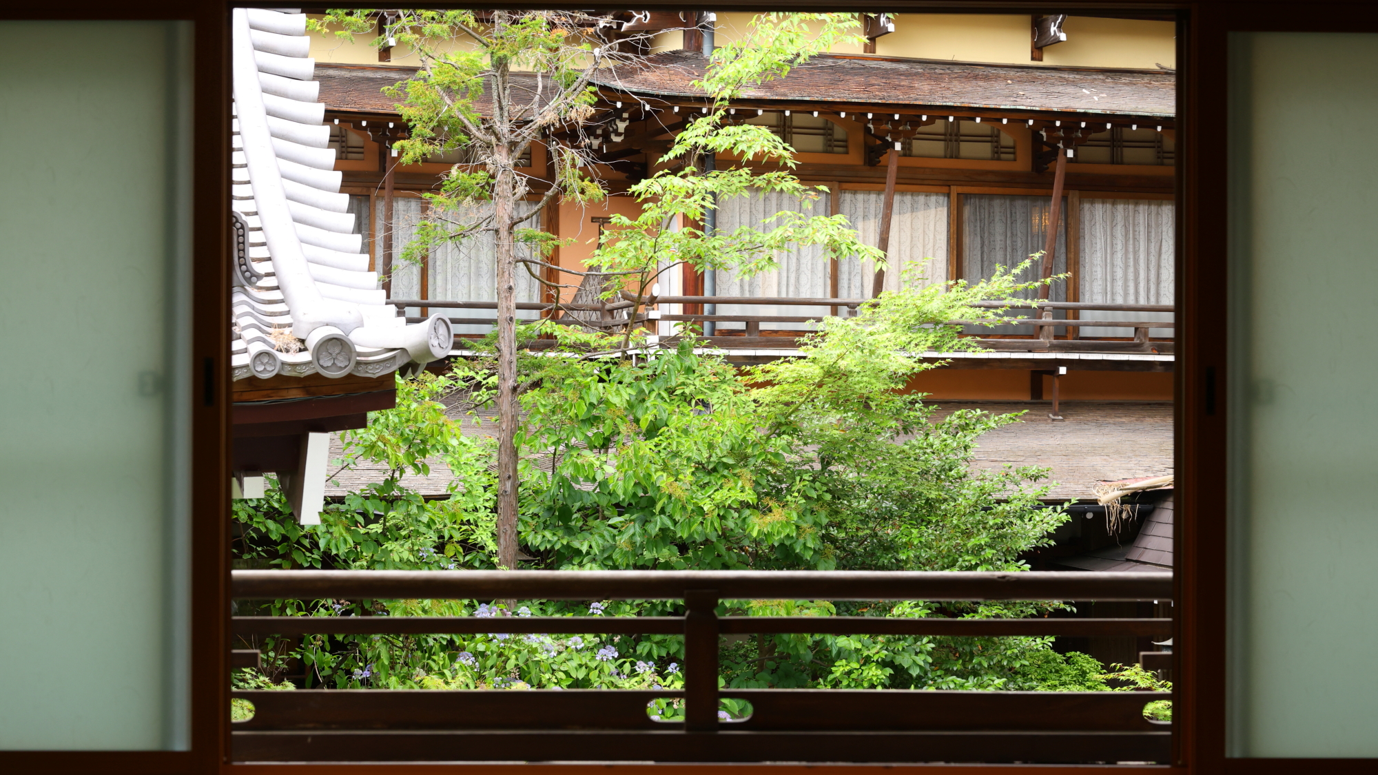 【温泉通り側■和室18畳】窓からの眺め