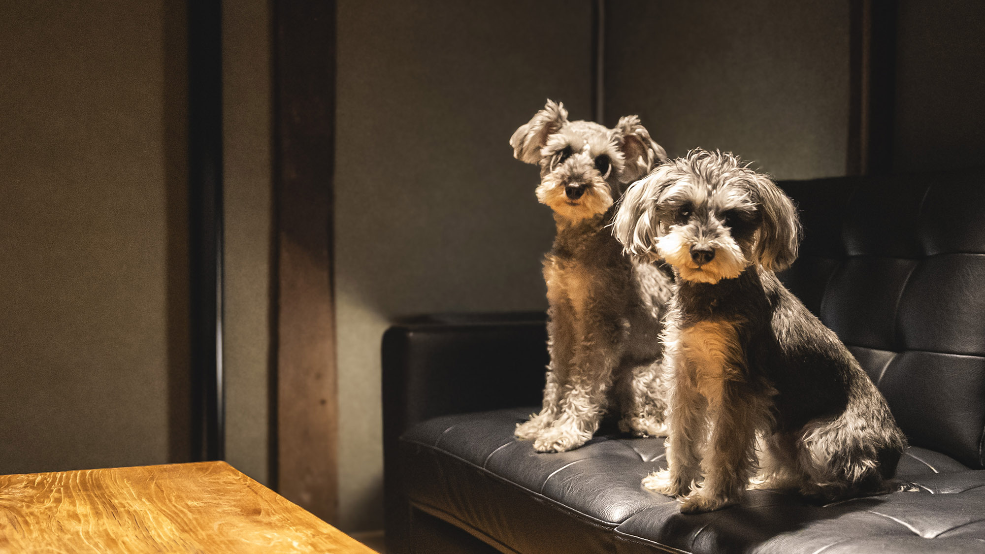 【素泊まり】松江城や宍道湖が徒歩圏内！松江の街並み、暮らしを楽しめます。