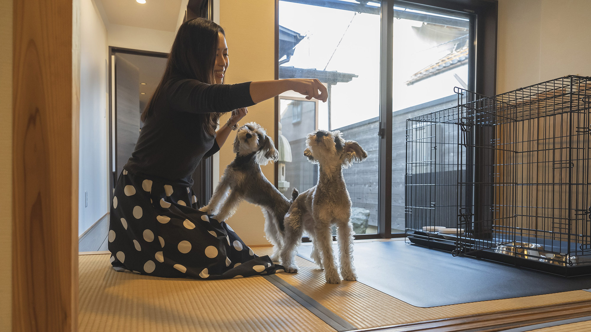 【連泊割・10％OFF】2泊以上・愛犬と一緒に見どころいっぱいの島根旅を満喫！