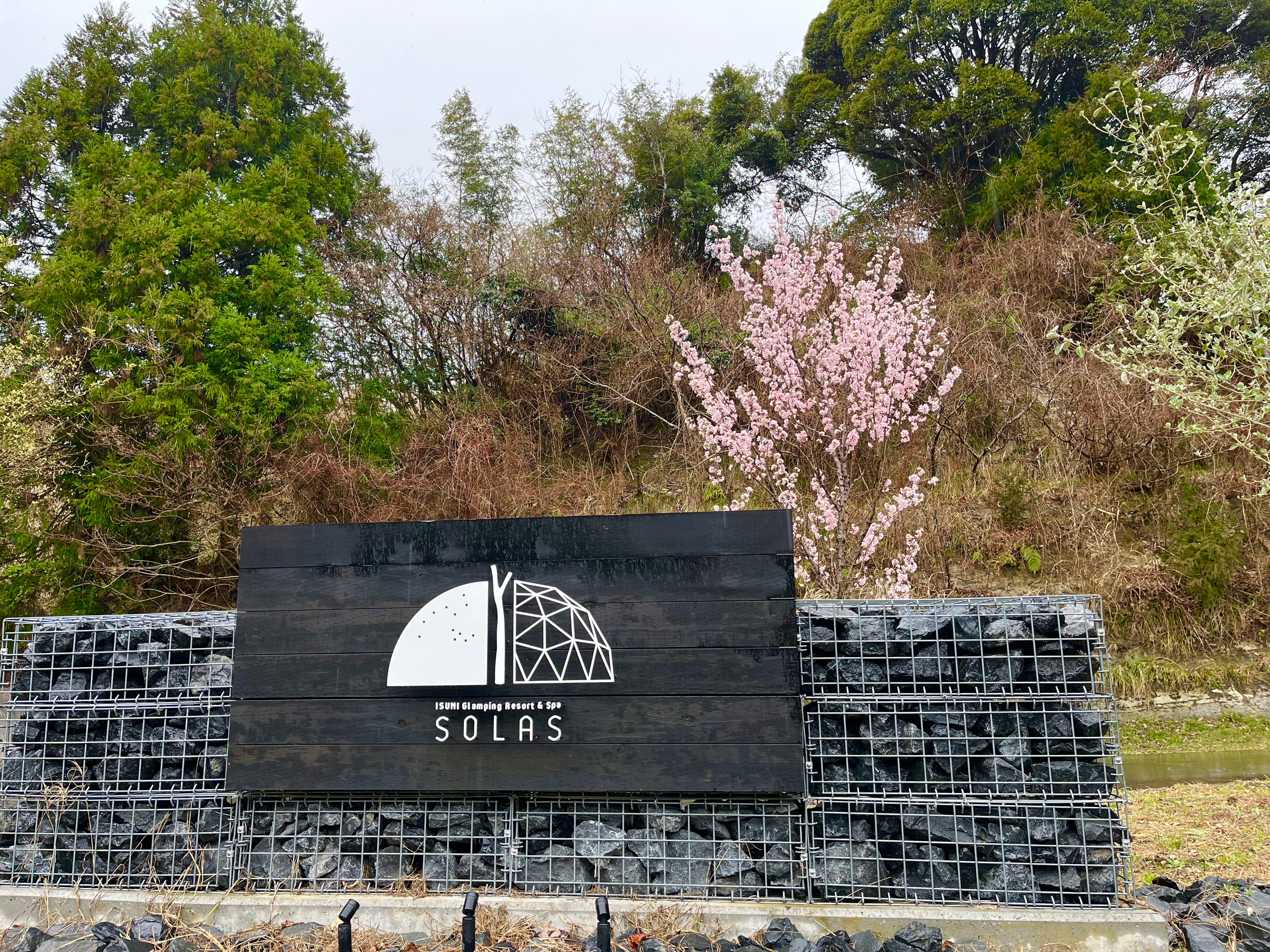 SOLAS入口