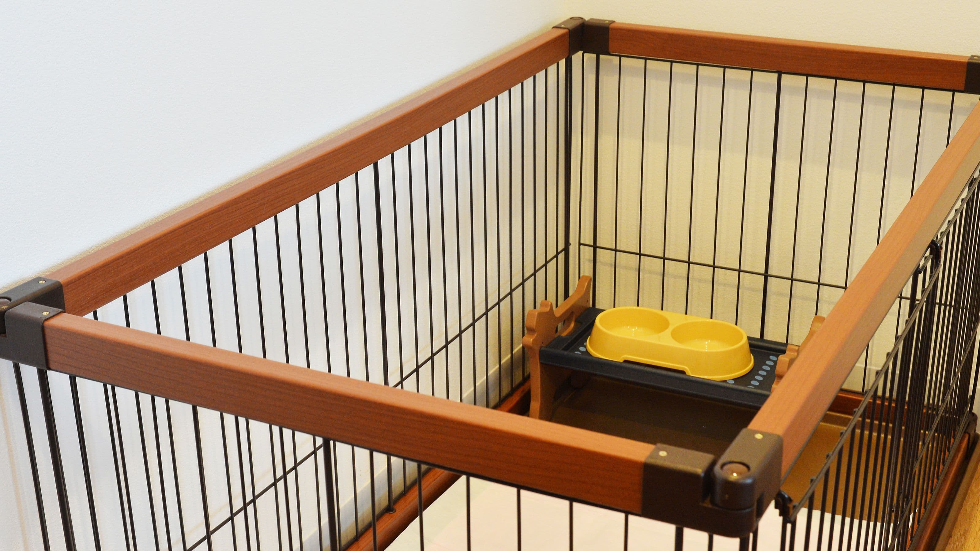 【本館】ドッグフレンドリーツイン