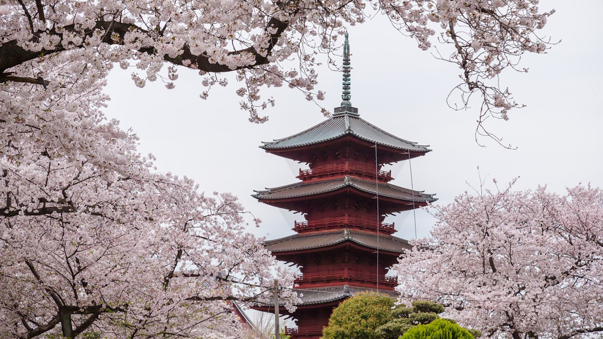 【観光】池上本門寺