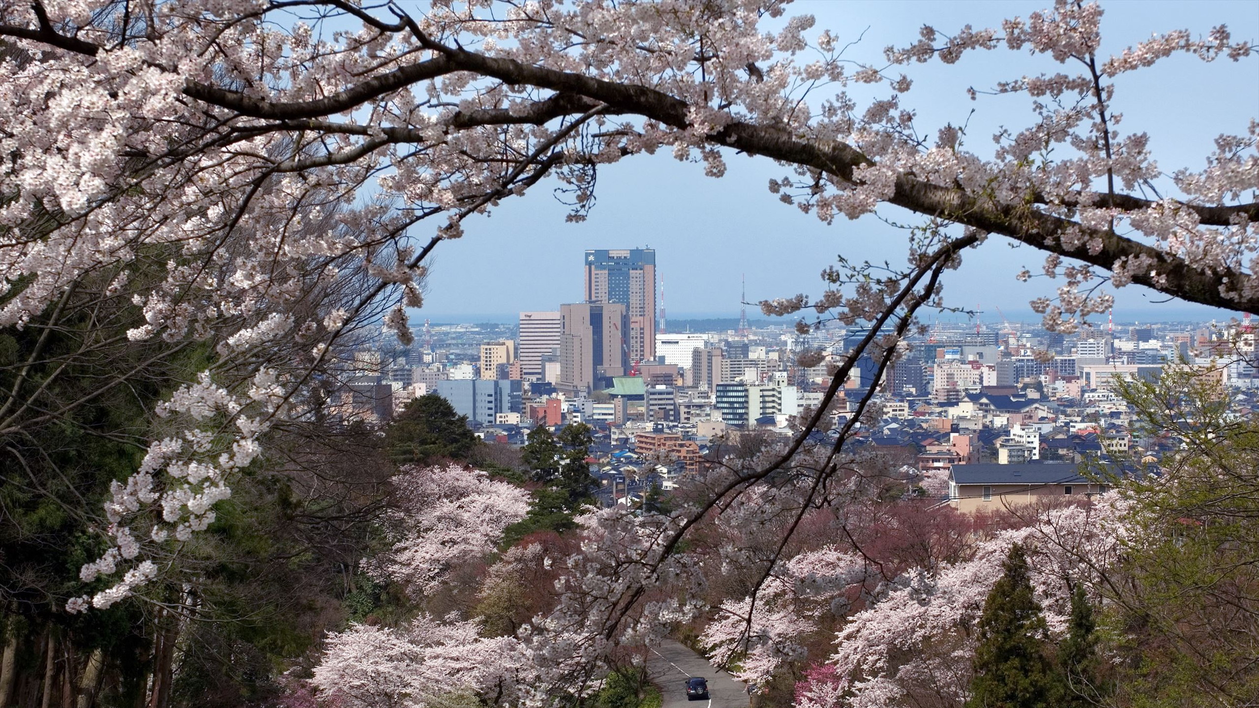 金沢市（写真提供：金沢市）