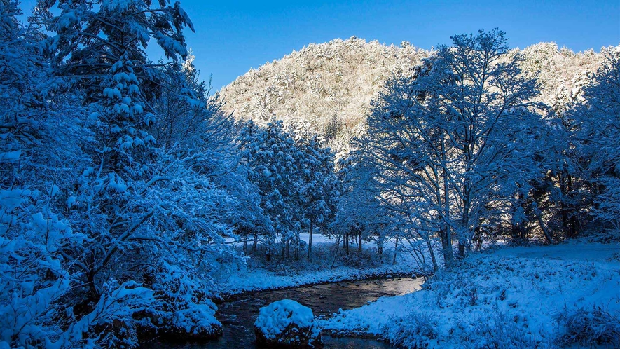 ・落水邸_冬には美しい雪景色をご覧いただけます。