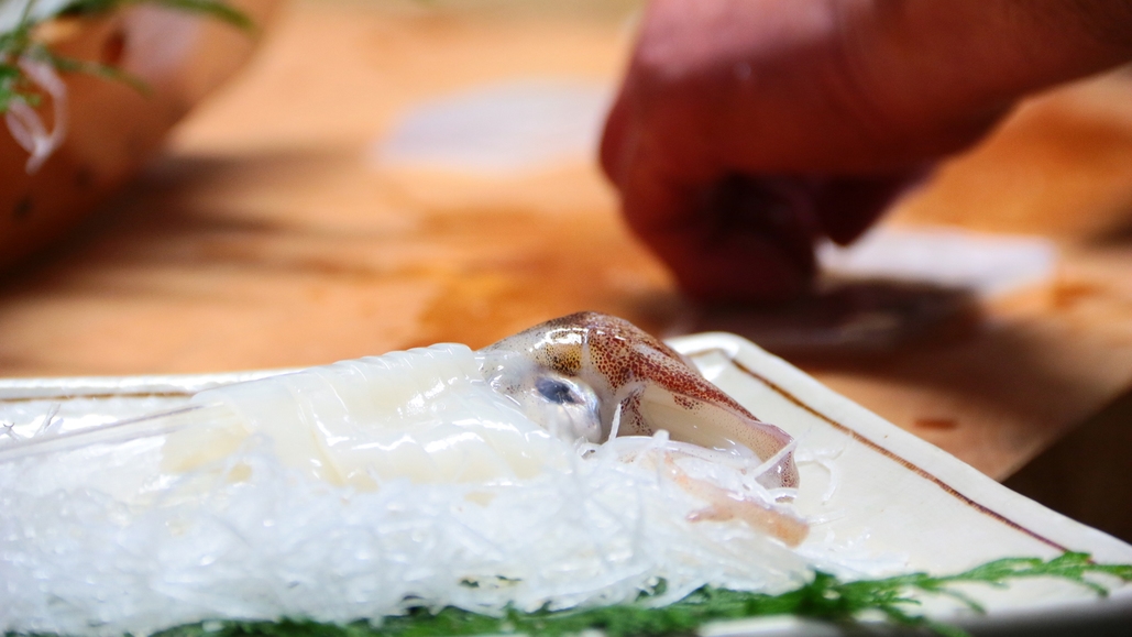 【2食付・ふぐ】ふぐ料理と旬魚を味わう冬の特別コース…♪