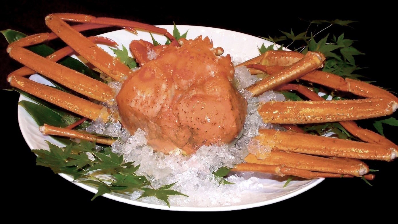 【9月･10月限定】香住ガニ料理イメージ