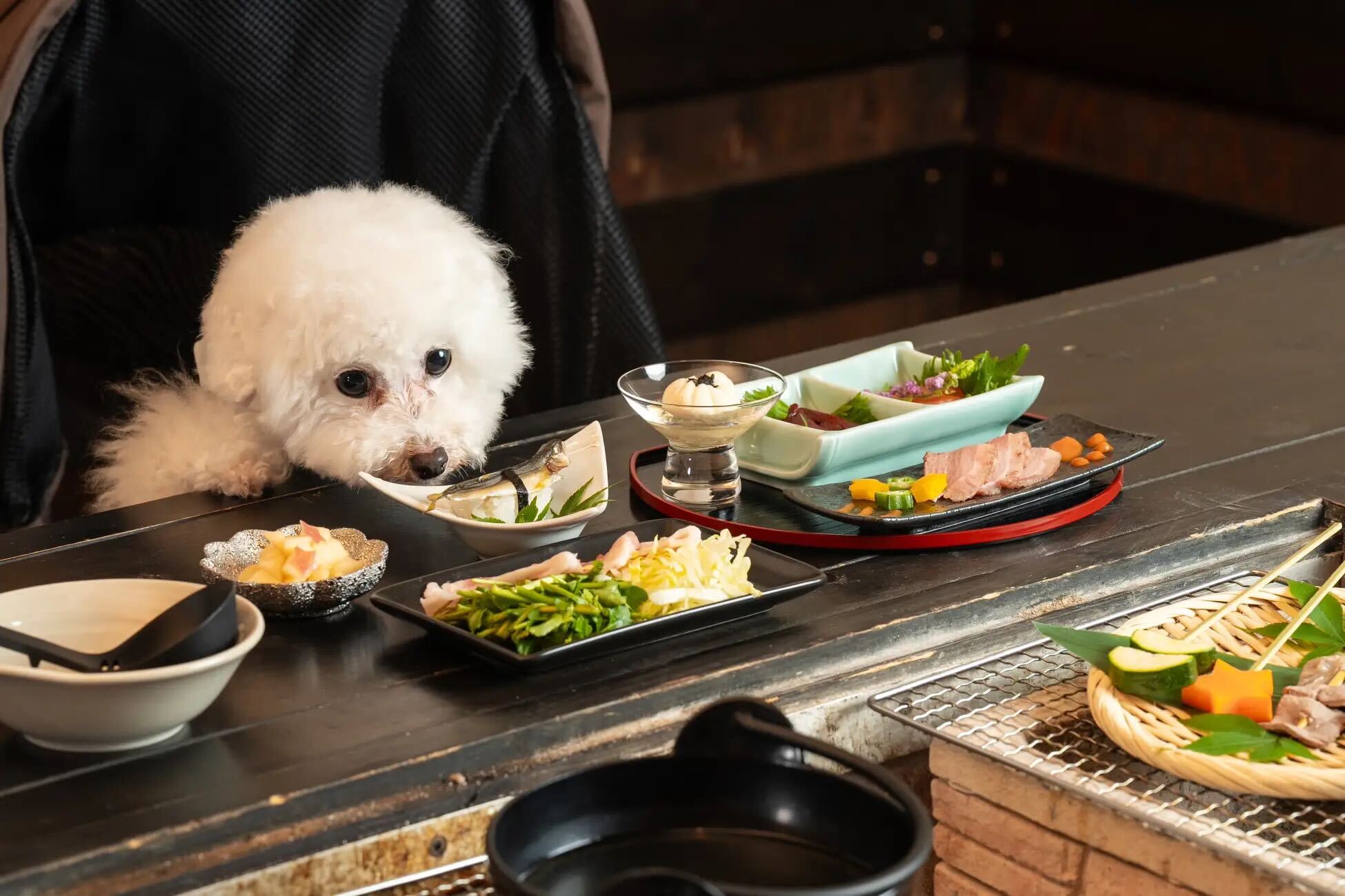 愛犬用和食フルコース２