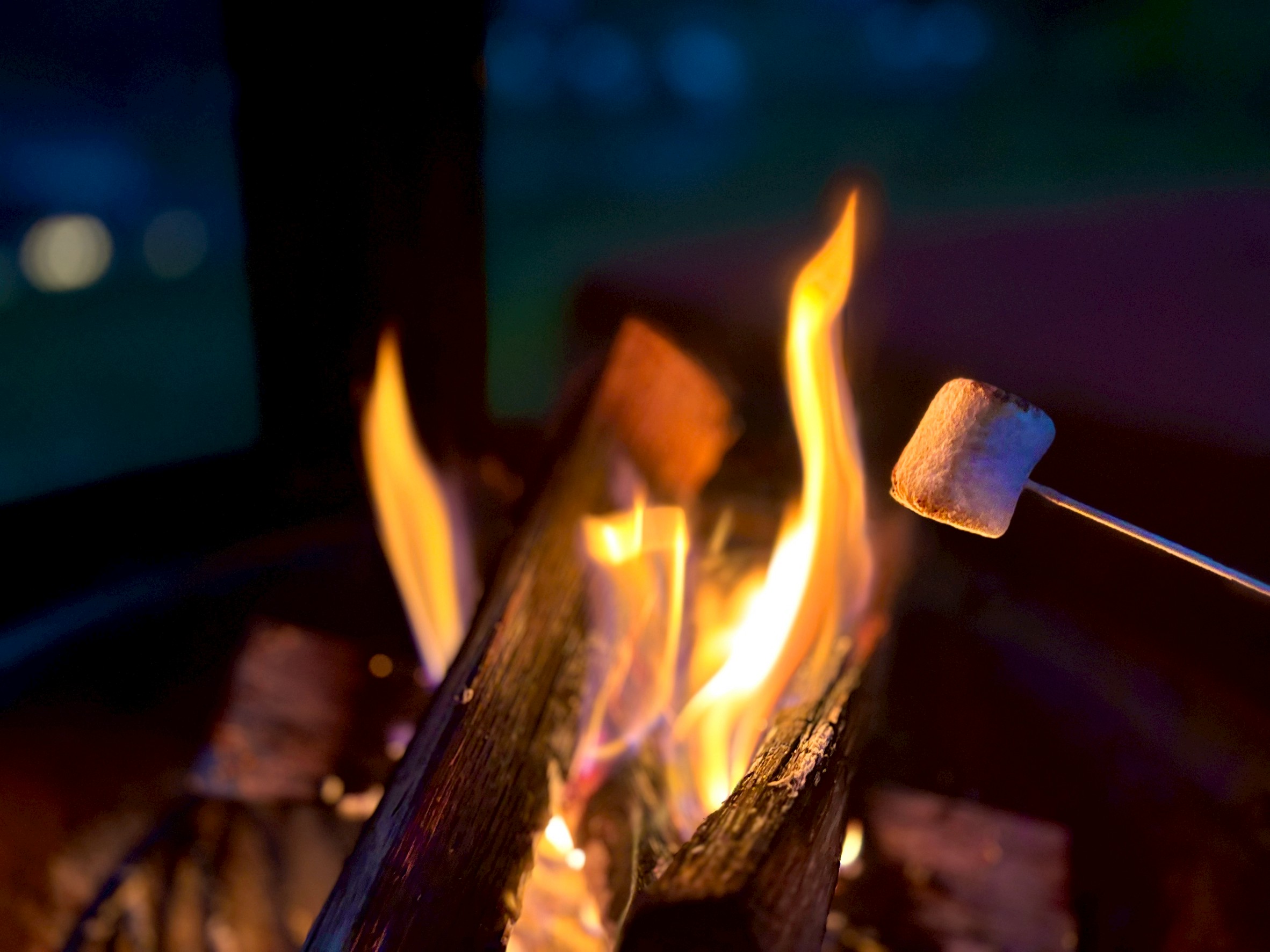 焚き火でじっくり、マシュマロタイム